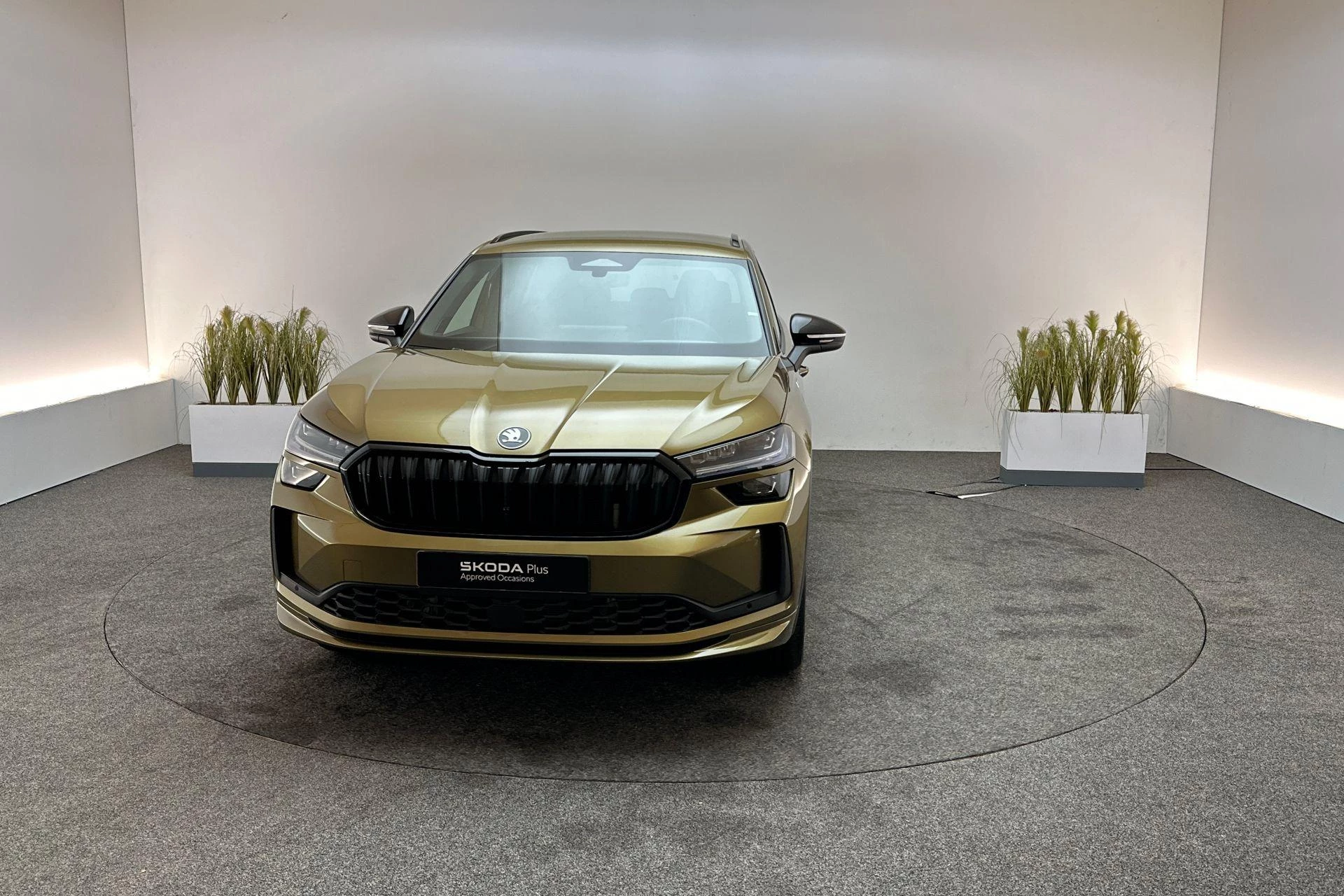 Hoofdafbeelding Škoda Kodiaq