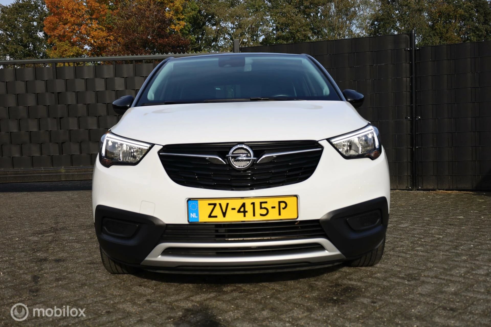 Hoofdafbeelding Opel Crossland X