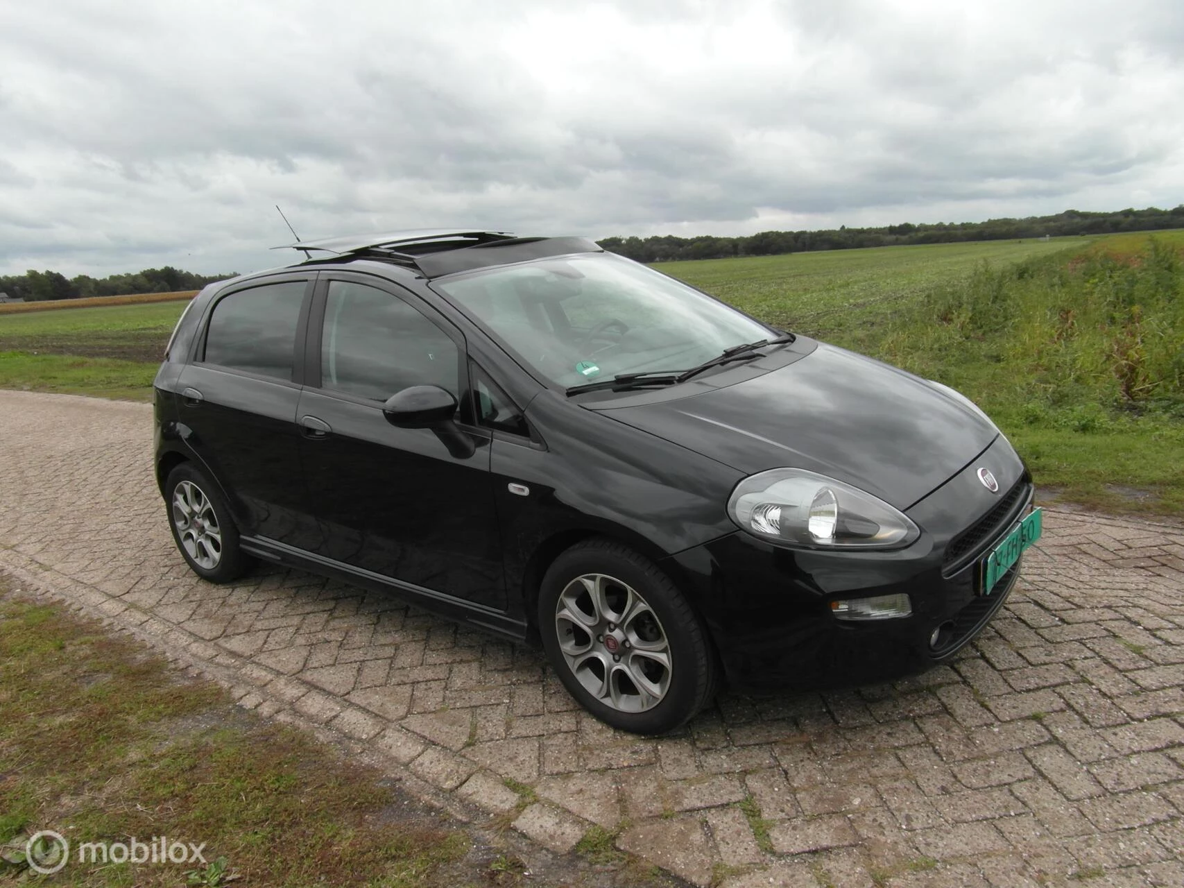 Hoofdafbeelding Fiat Punto