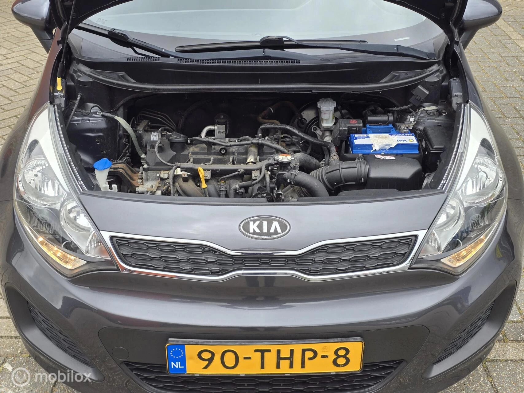 Hoofdafbeelding Kia Rio