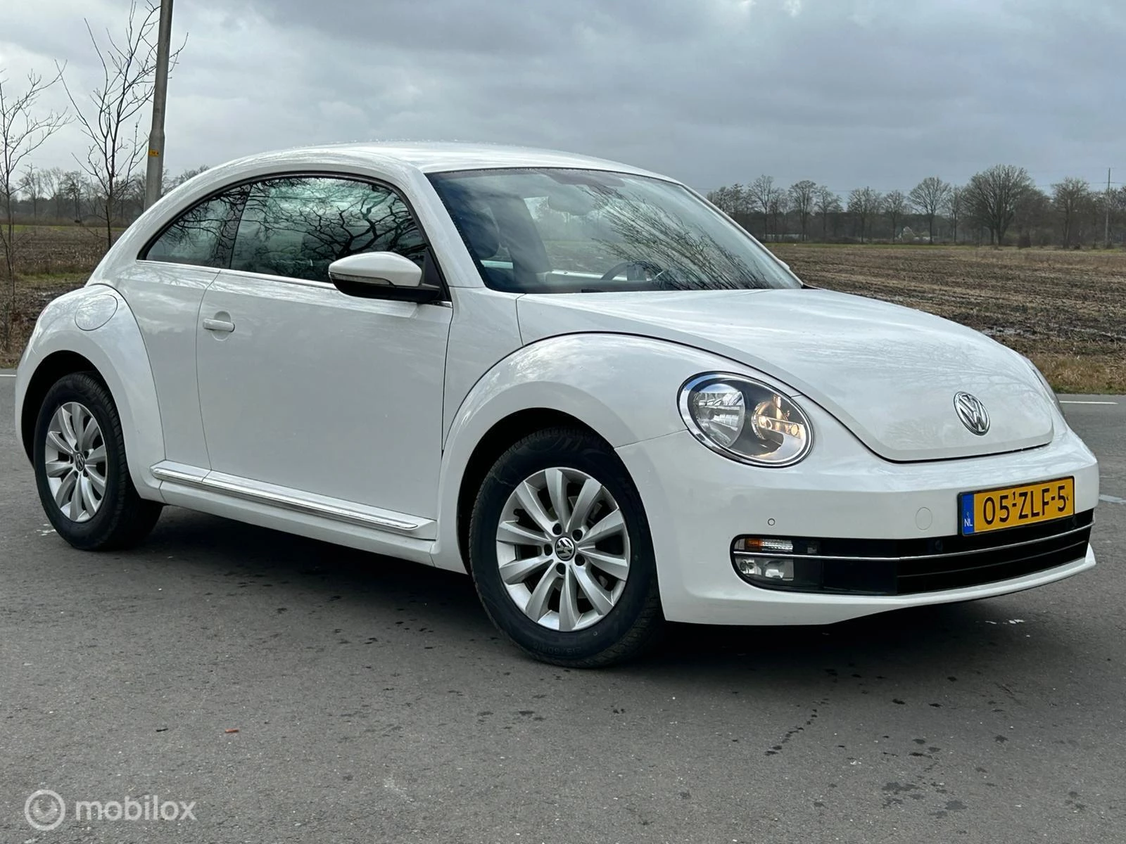 Hoofdafbeelding Volkswagen Beetle