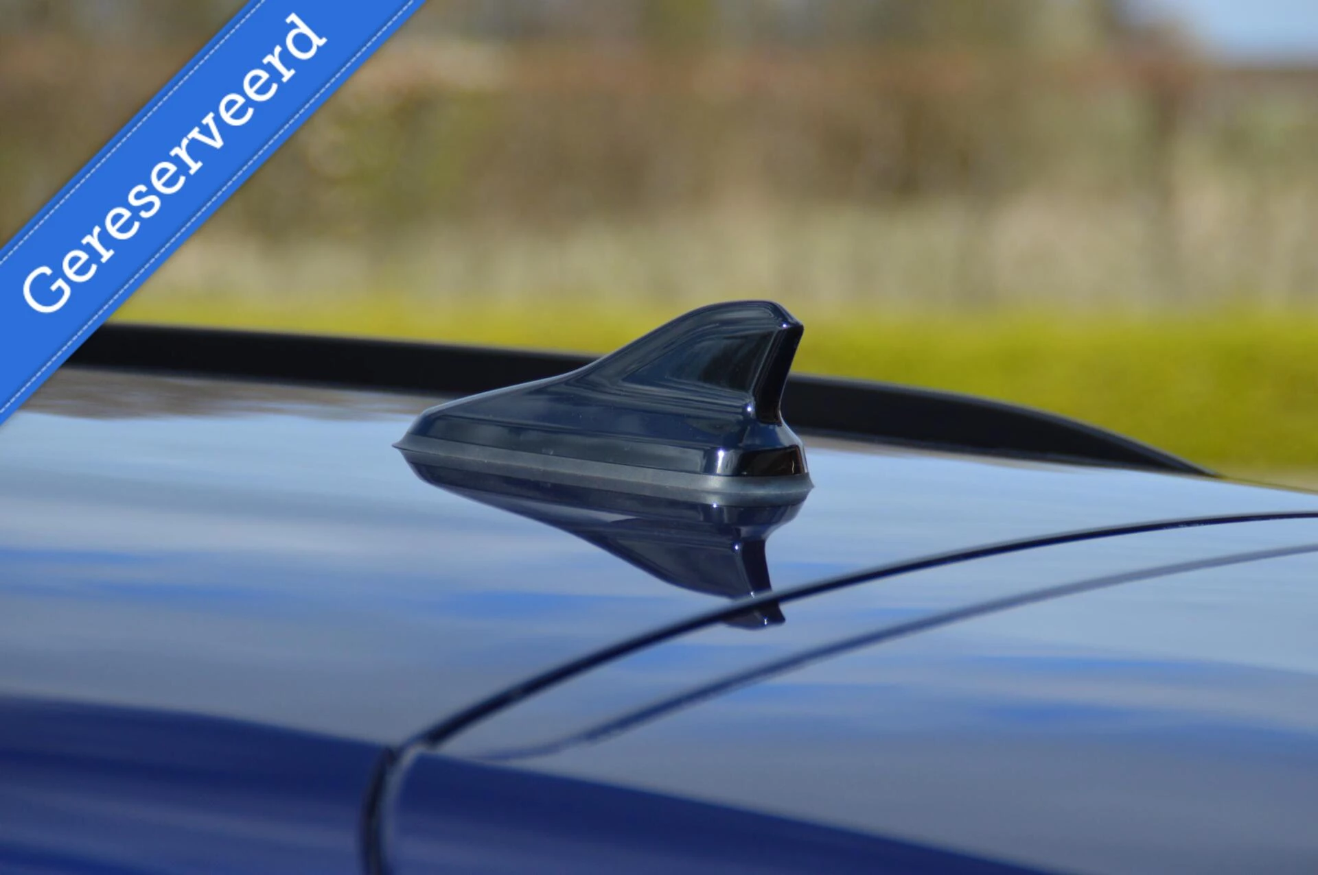 Hoofdafbeelding CUPRA Terramar