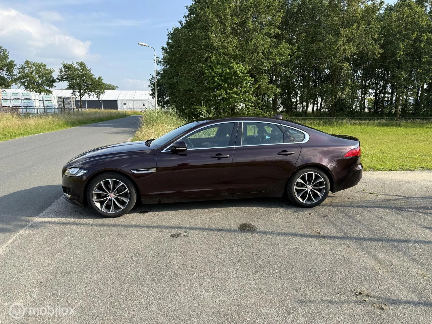 Hoofdafbeelding Jaguar XF