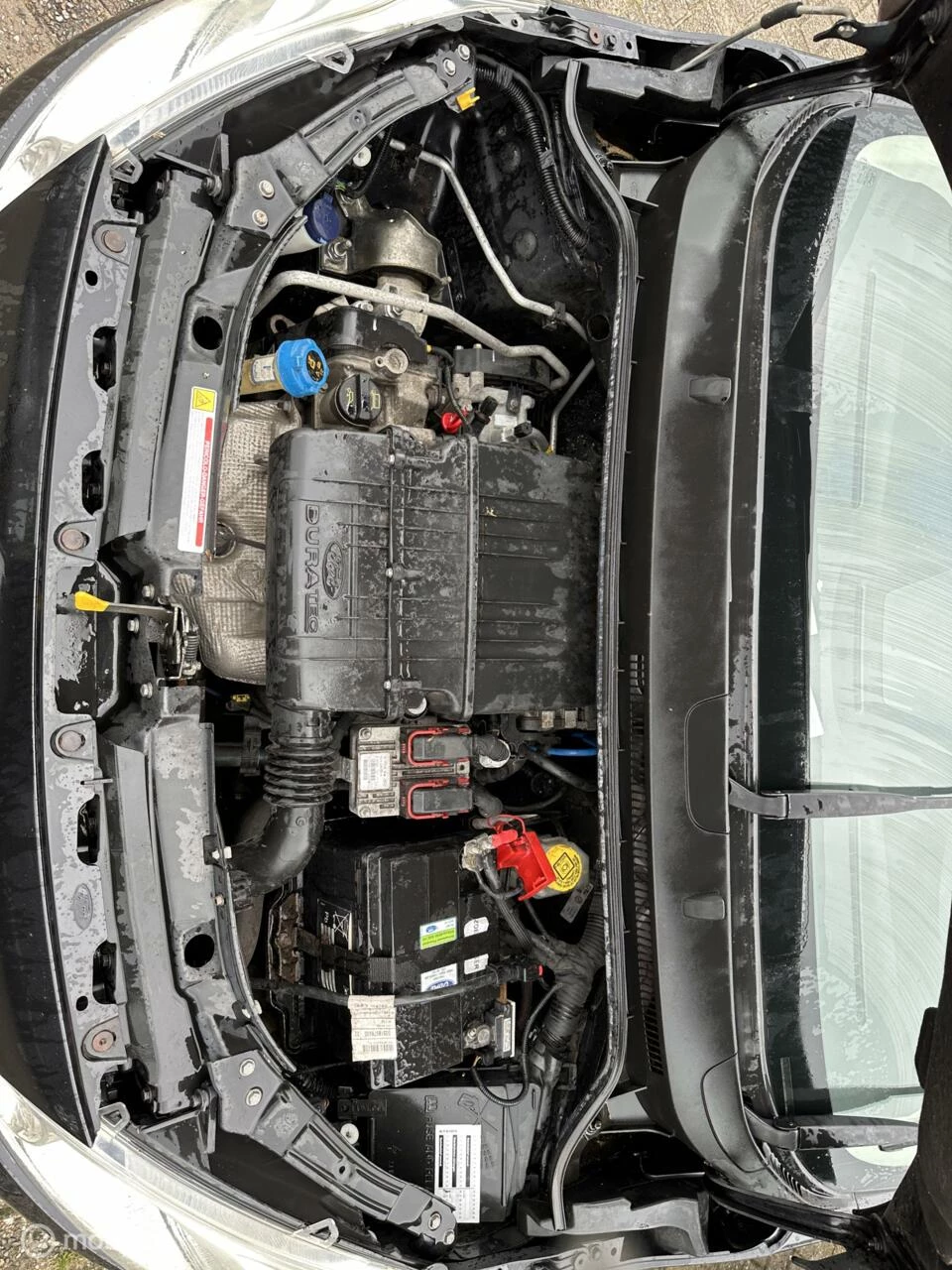 Hoofdafbeelding Ford Ka