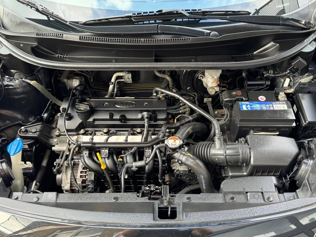 Hoofdafbeelding Kia Rio