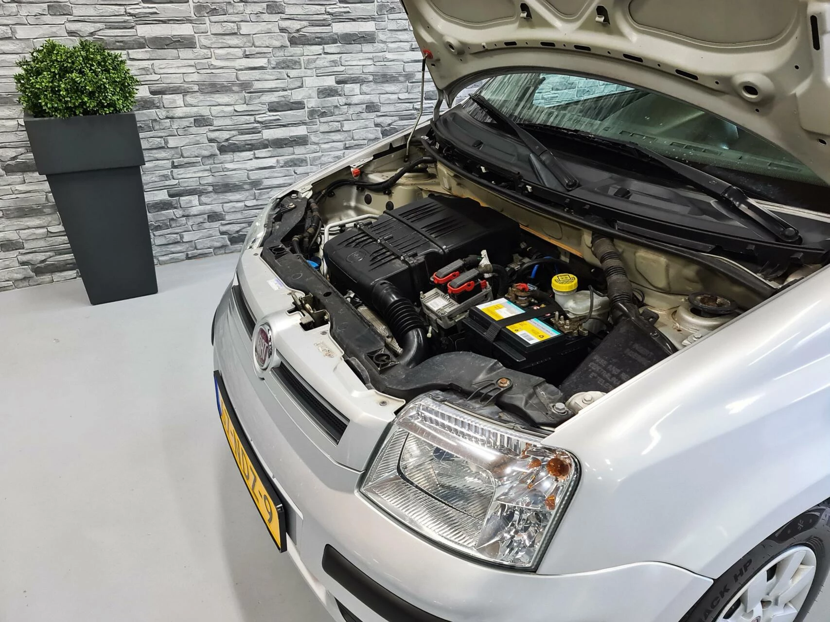 Hoofdafbeelding Fiat Panda