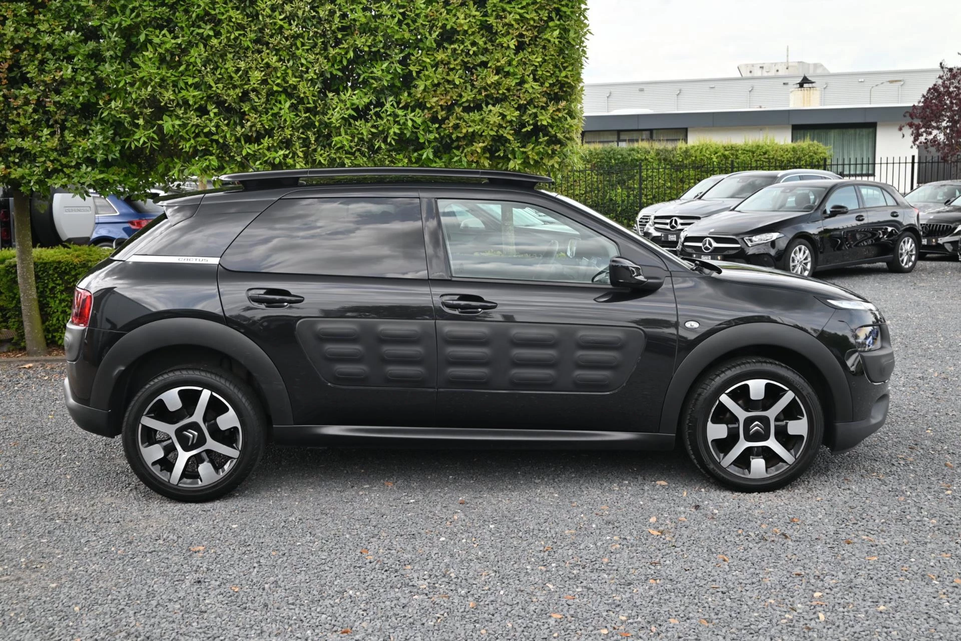 Hoofdafbeelding Citroën C4 Cactus