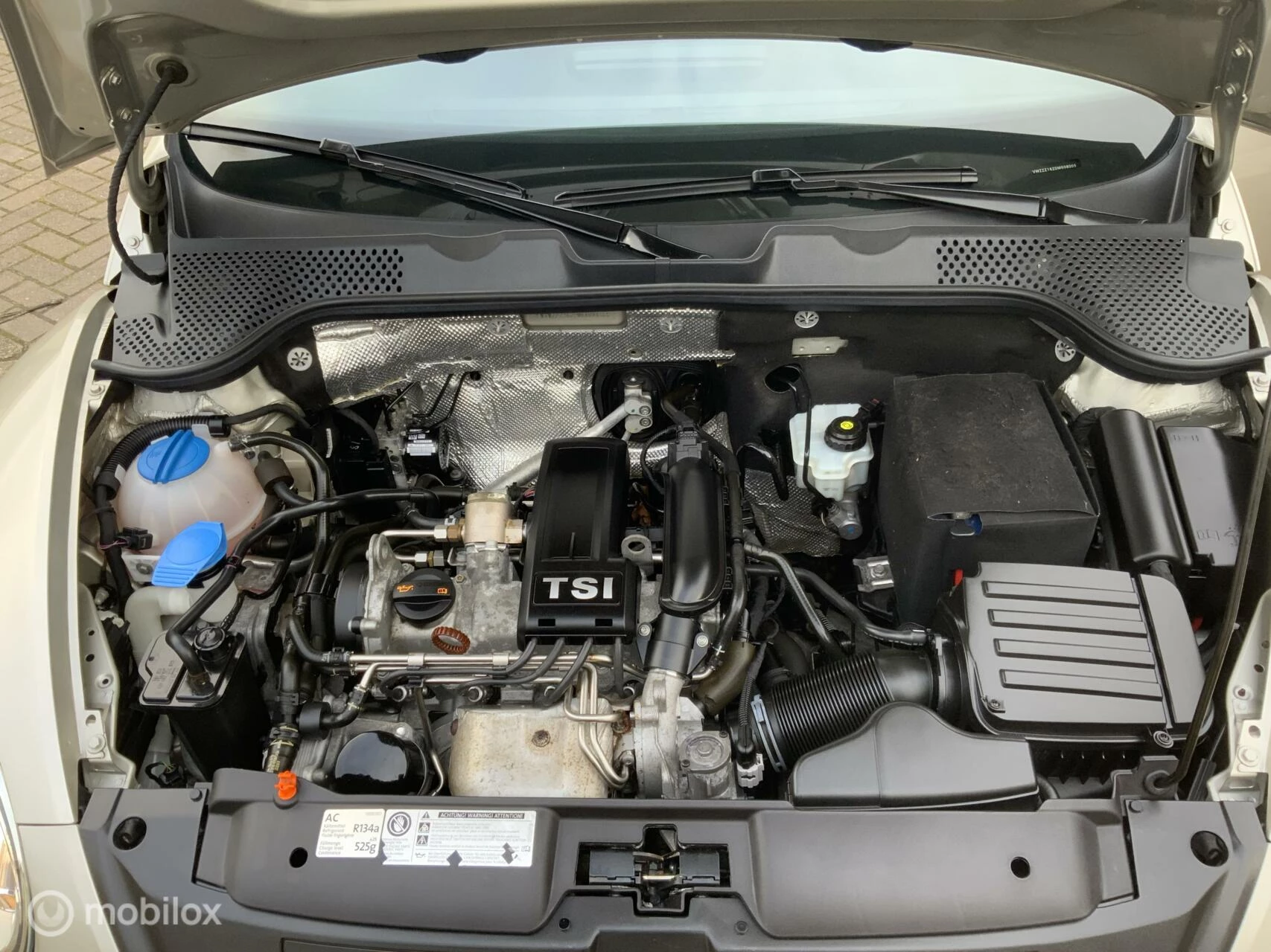 Hoofdafbeelding Volkswagen Beetle