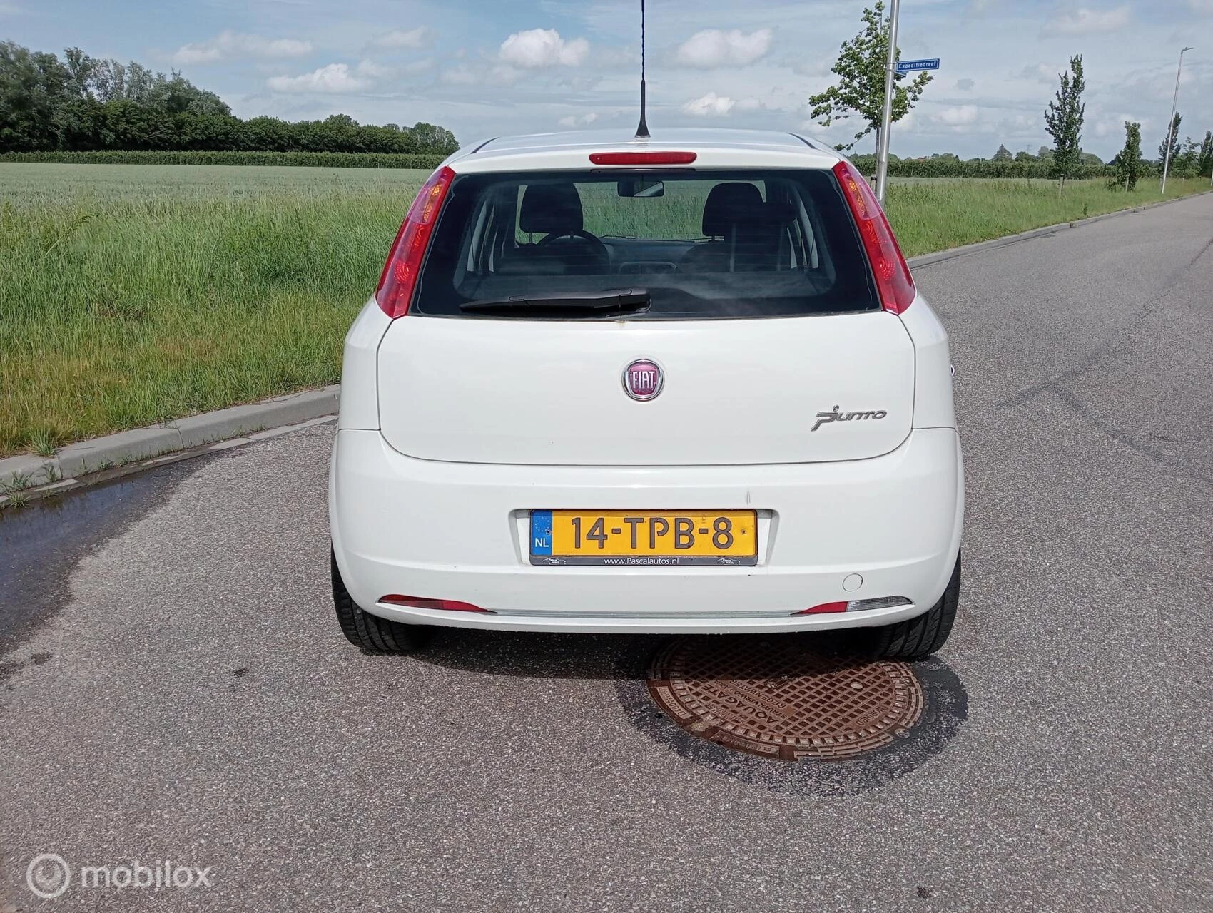 Hoofdafbeelding Fiat Punto