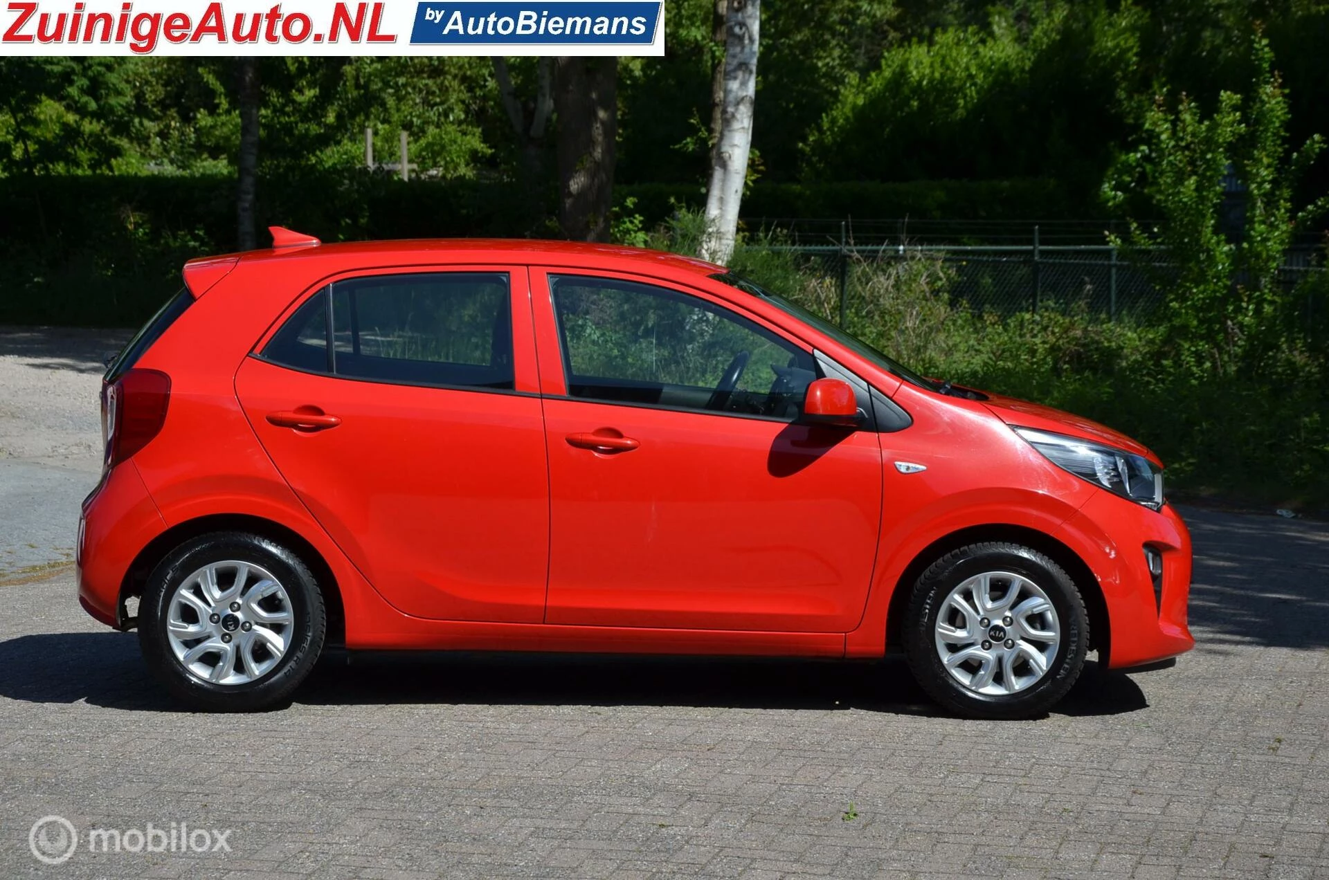 Hoofdafbeelding Kia Picanto