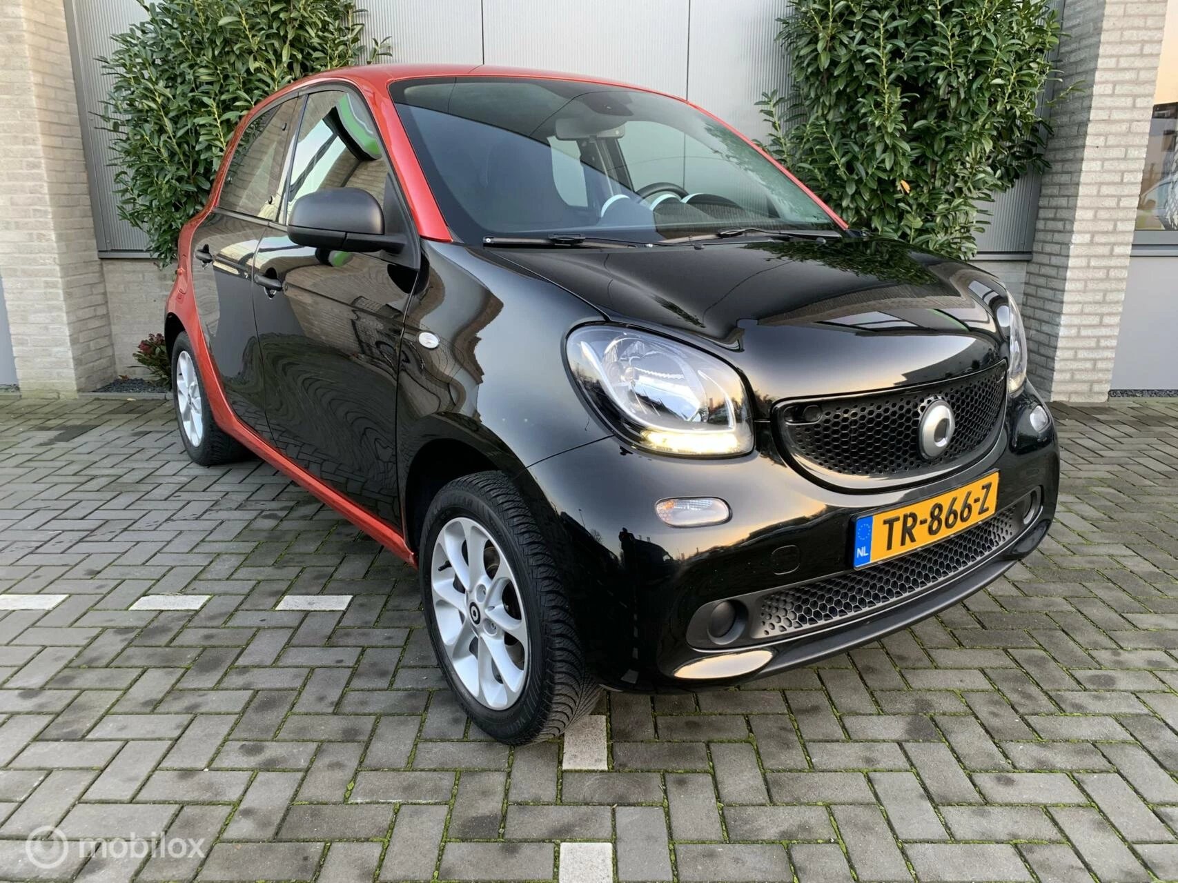 Hoofdafbeelding Smart Forfour