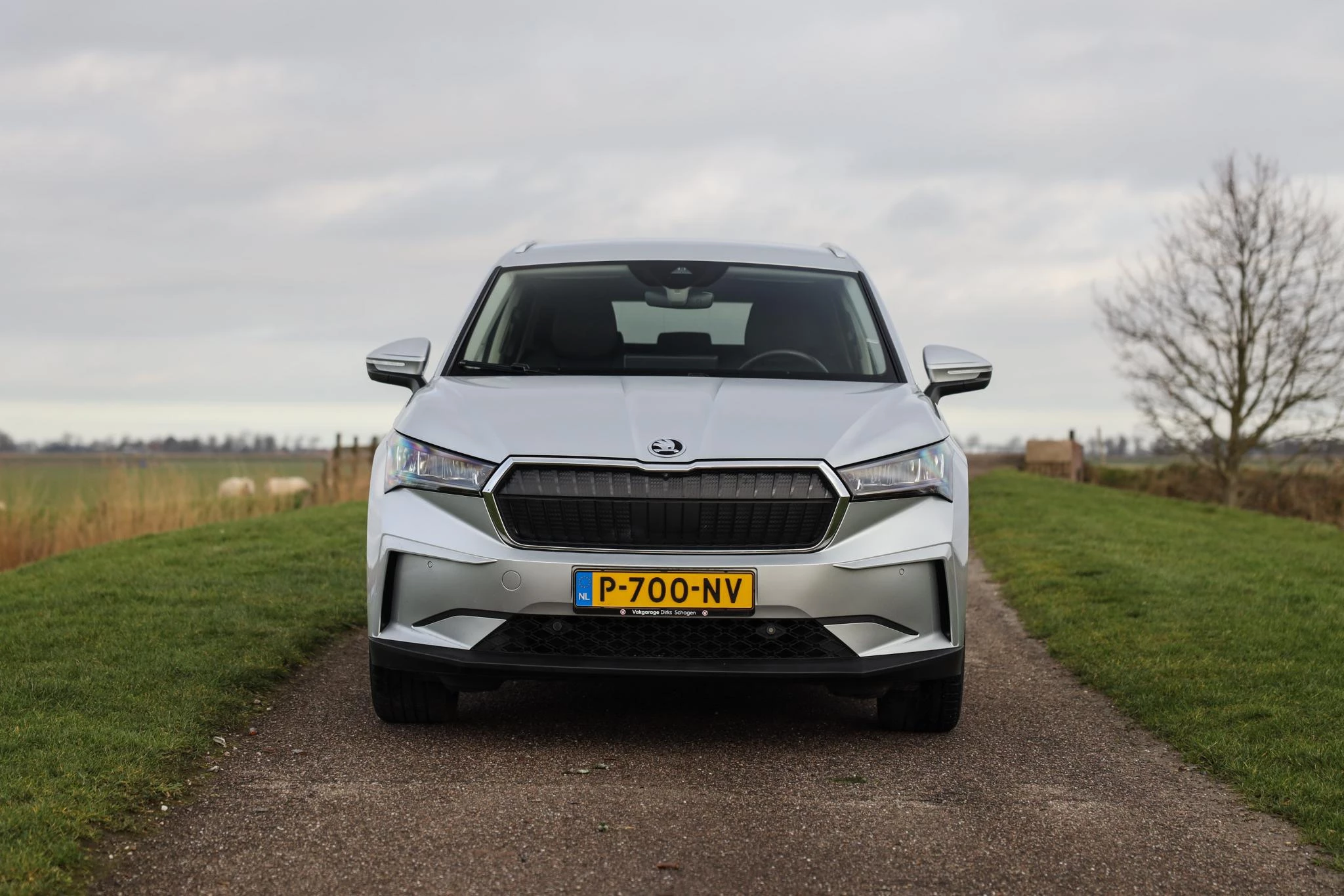 Hoofdafbeelding Škoda Enyaq iV