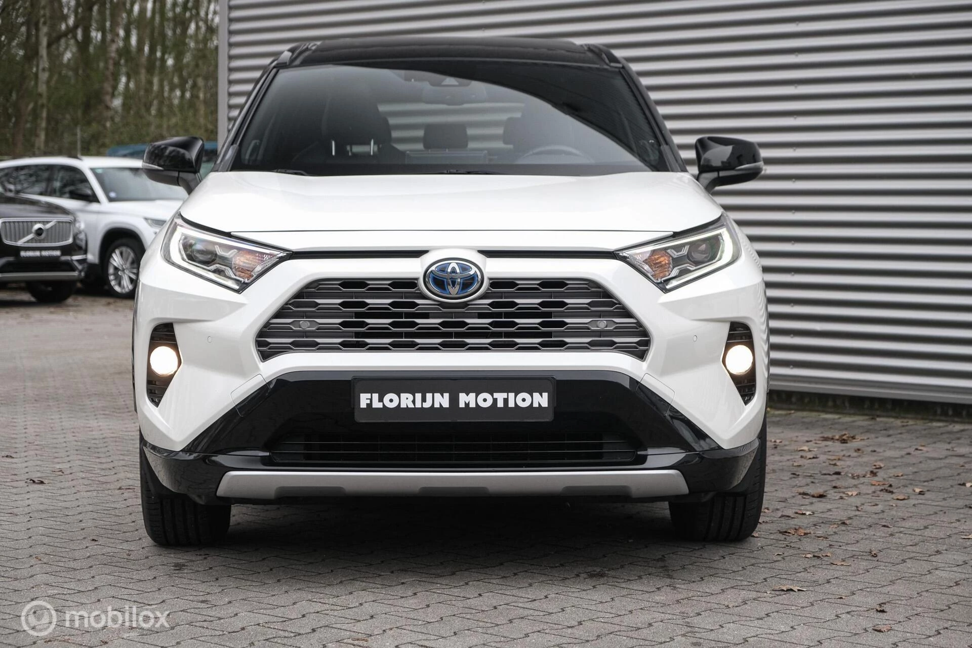 Hoofdafbeelding Toyota RAV4