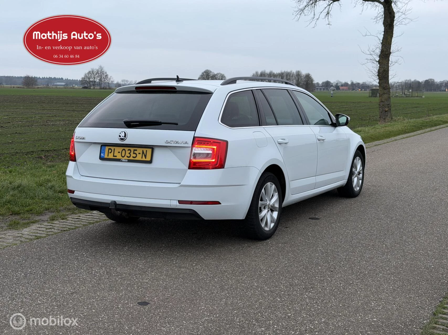 Hoofdafbeelding Škoda Octavia