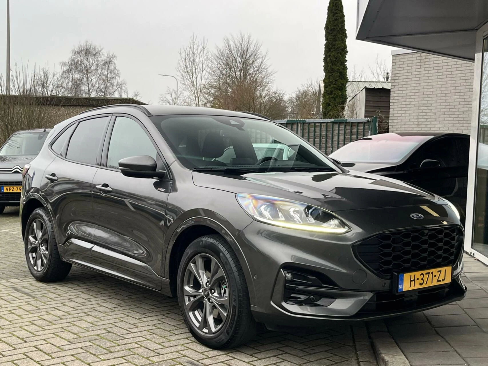 Hoofdafbeelding Ford Kuga