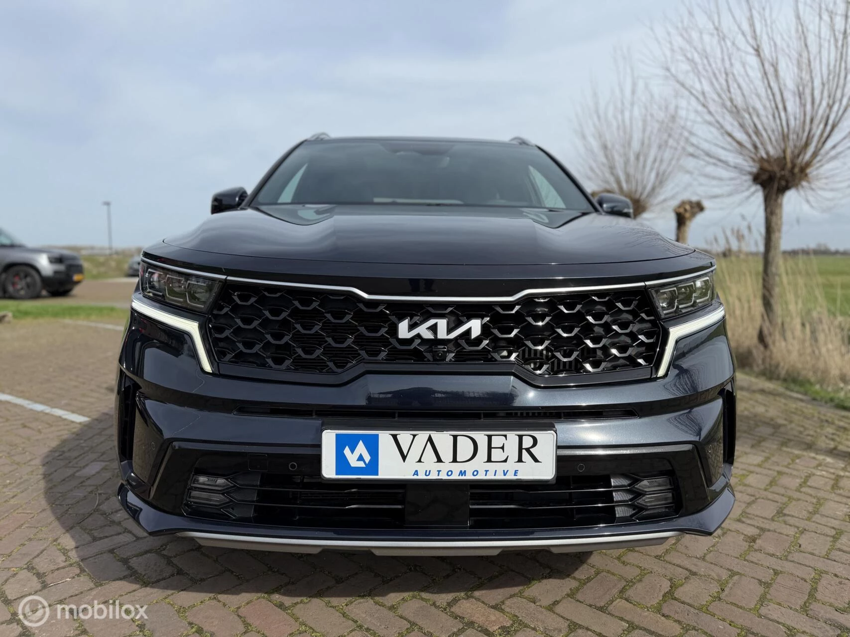 Hoofdafbeelding Kia Sorento