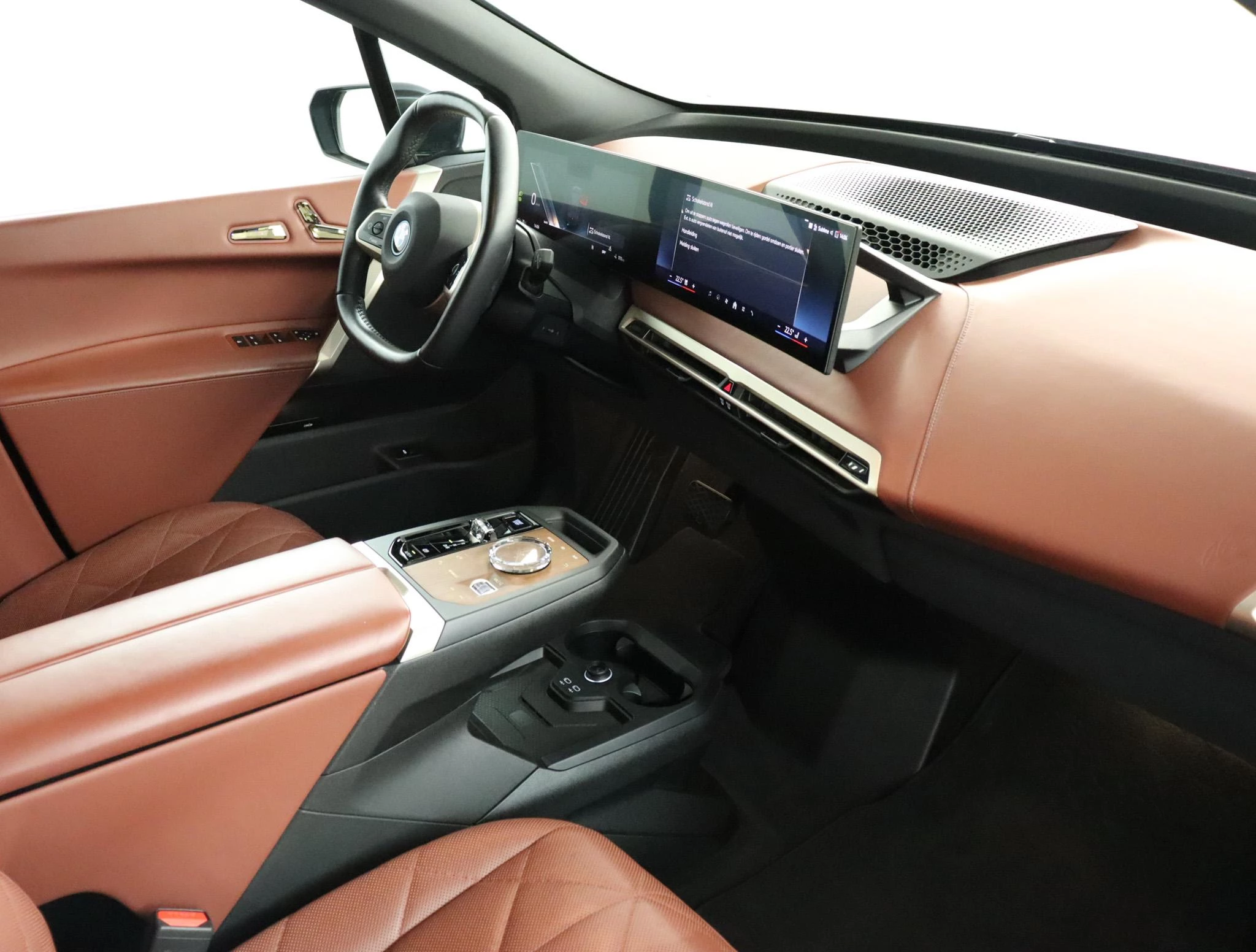 Hoofdafbeelding BMW iX