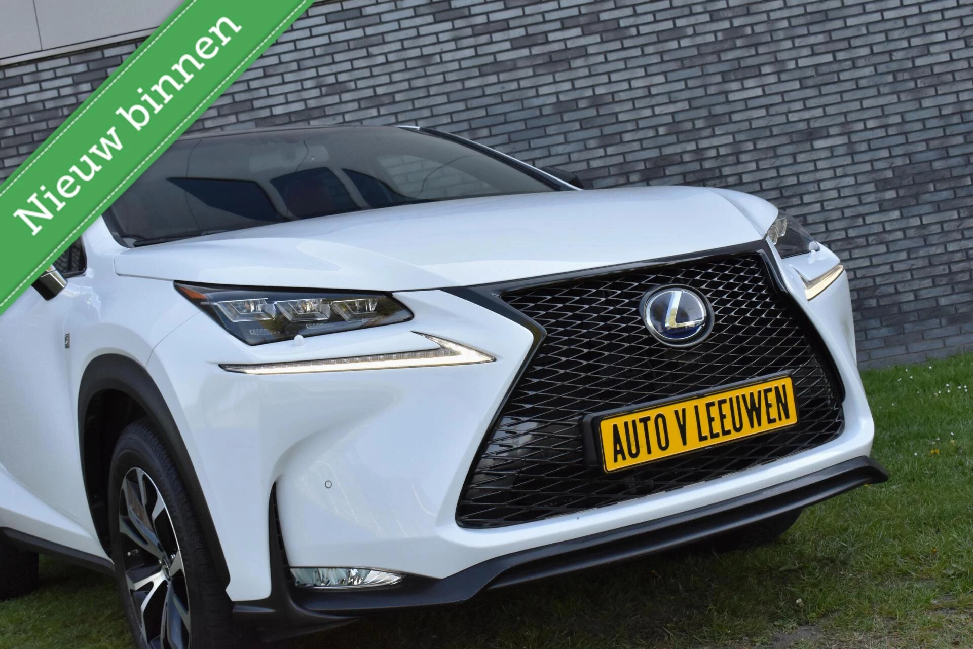 Hoofdafbeelding Lexus NX