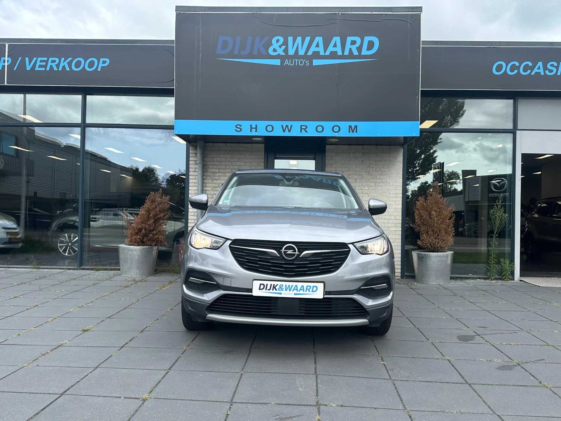 Hoofdafbeelding Opel Grandland X