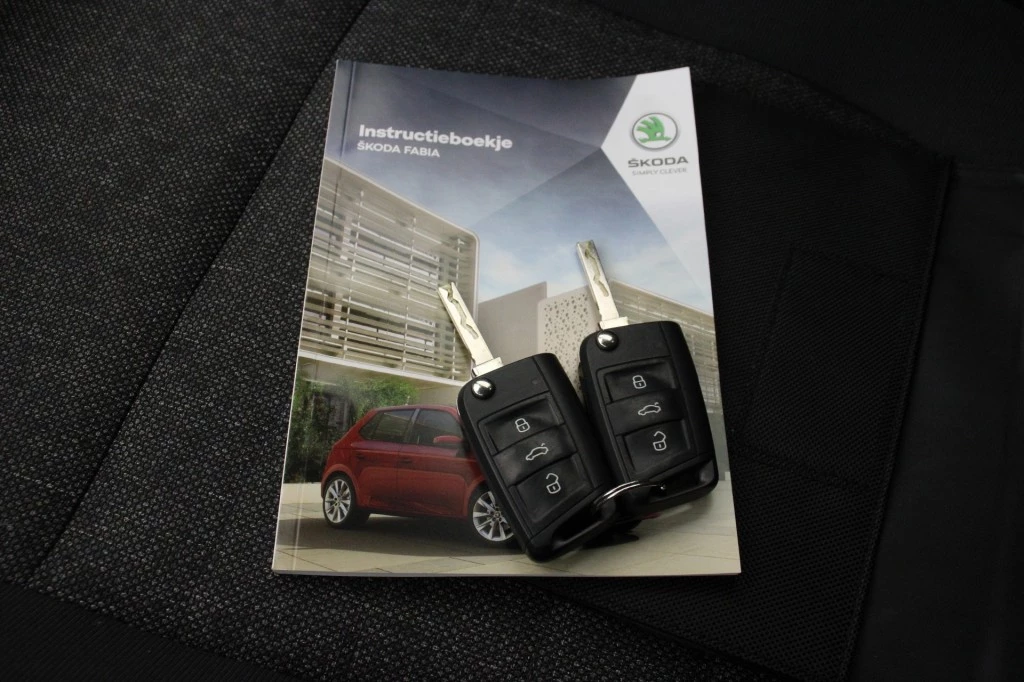 Hoofdafbeelding Škoda Fabia