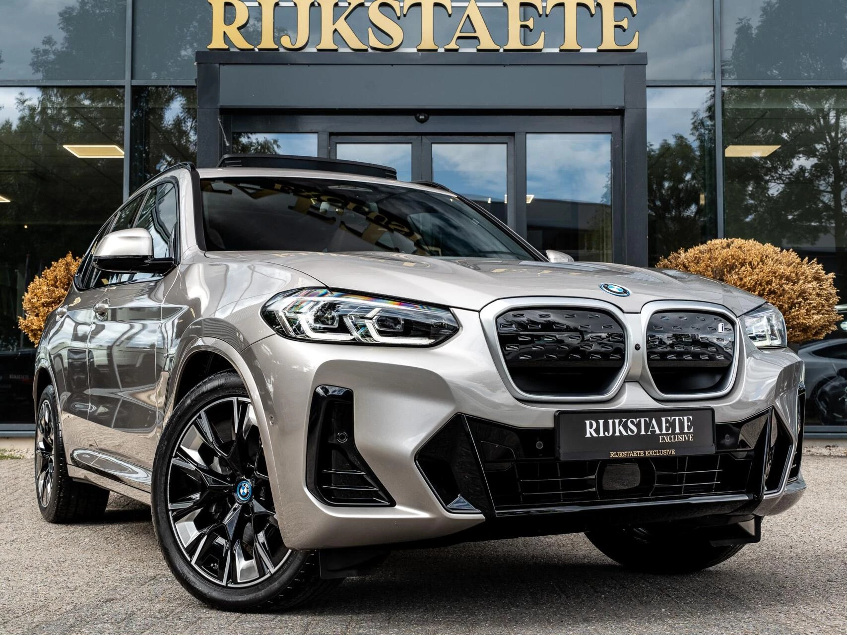 Hoofdafbeelding BMW iX3