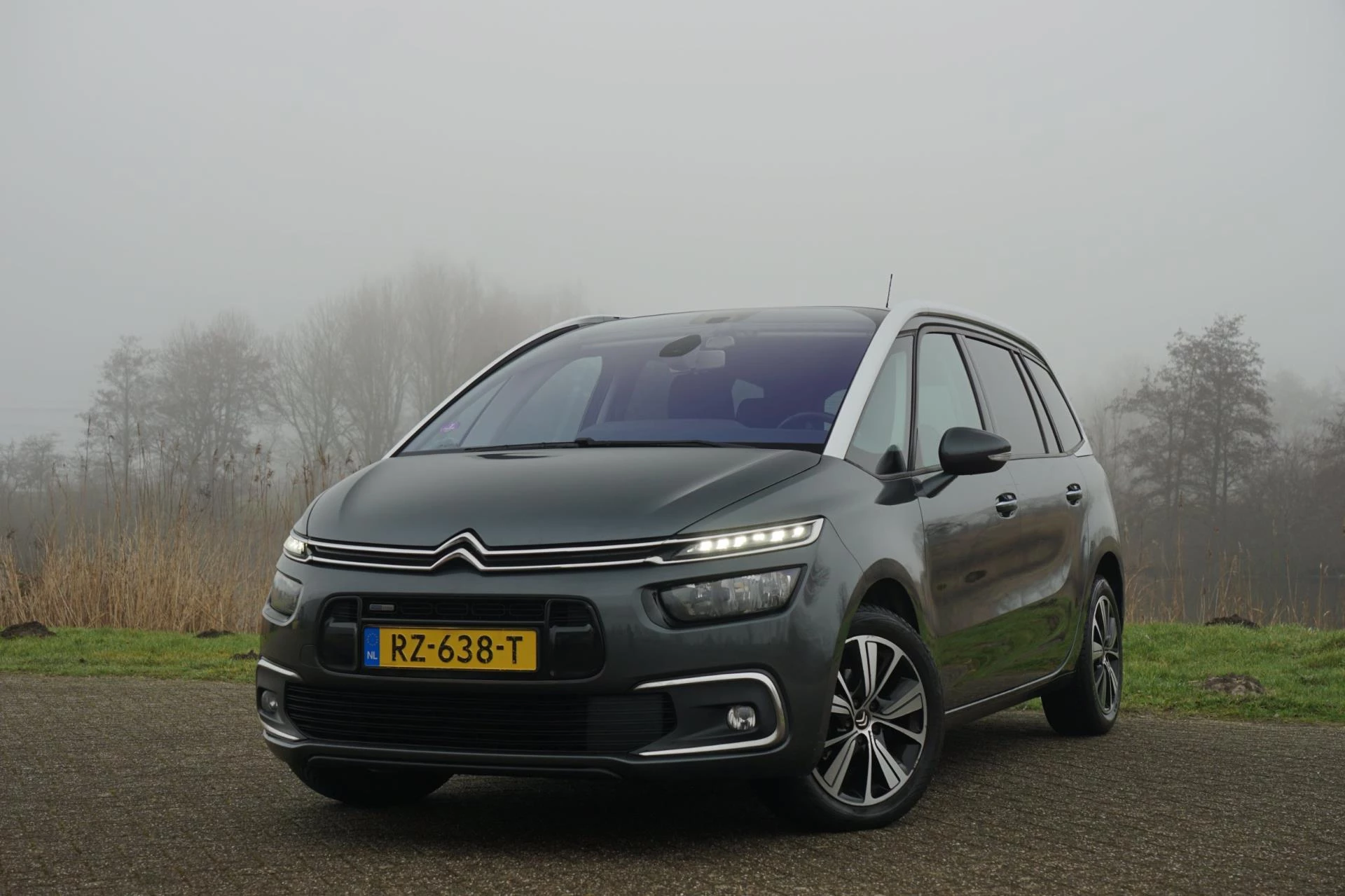 Hoofdafbeelding Citroën Grand C4 Picasso