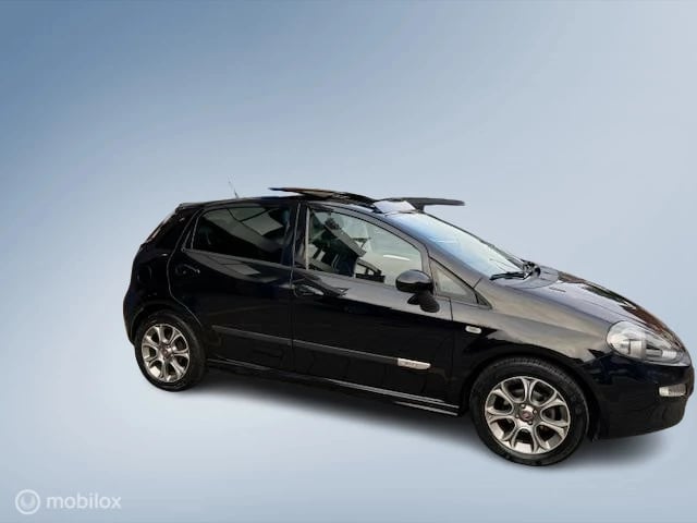 Hoofdafbeelding Fiat Punto