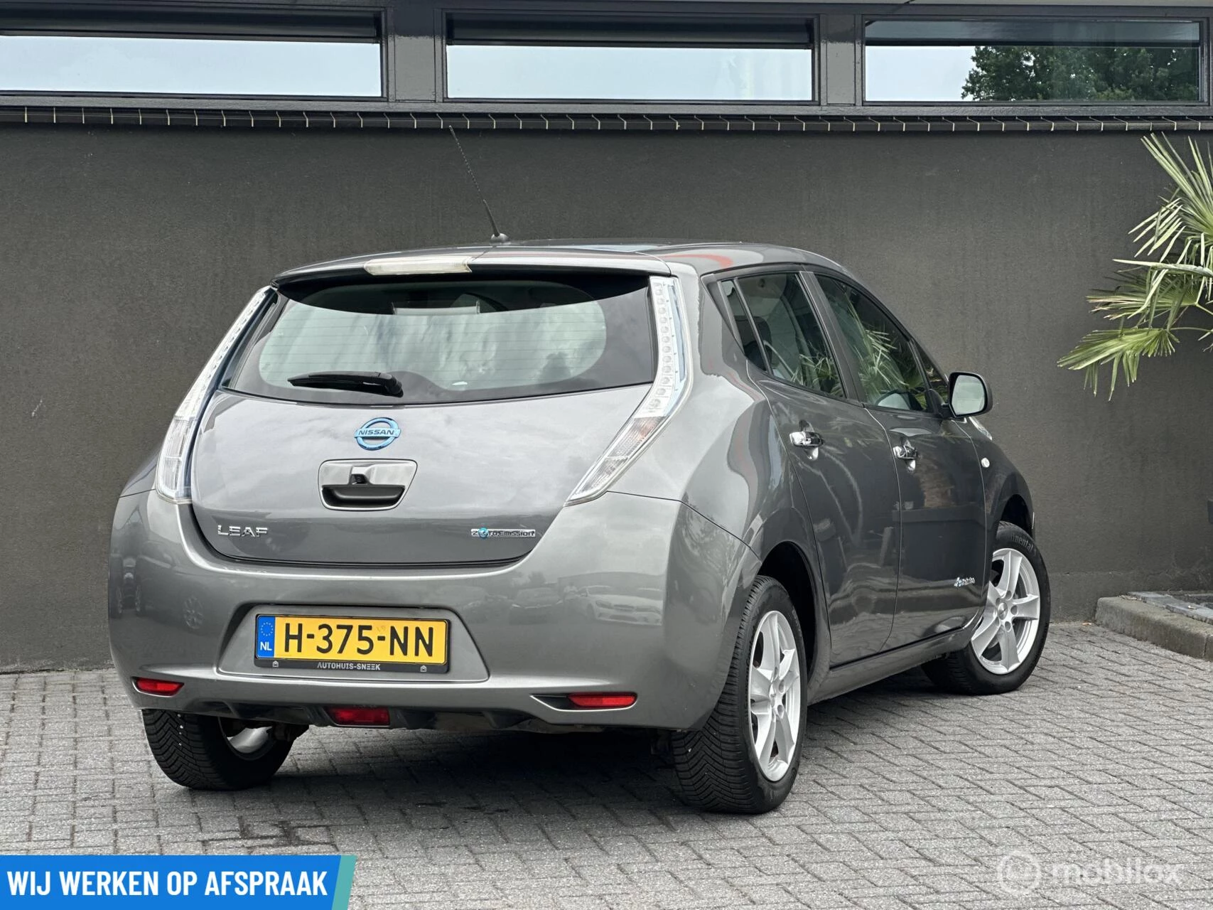 Hoofdafbeelding Nissan Leaf