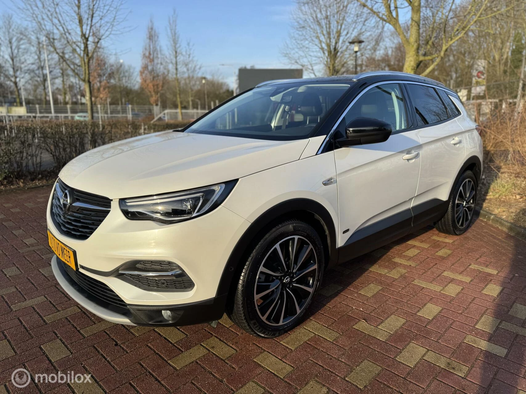 Hoofdafbeelding Opel Grandland X