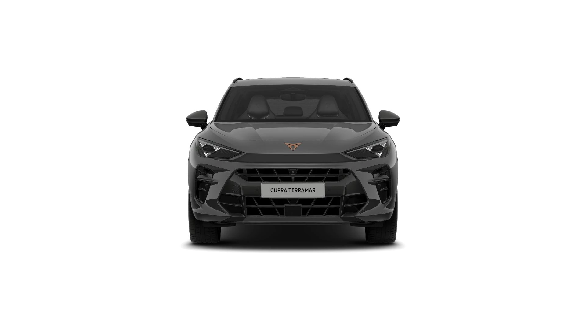 Hoofdafbeelding CUPRA Terramar