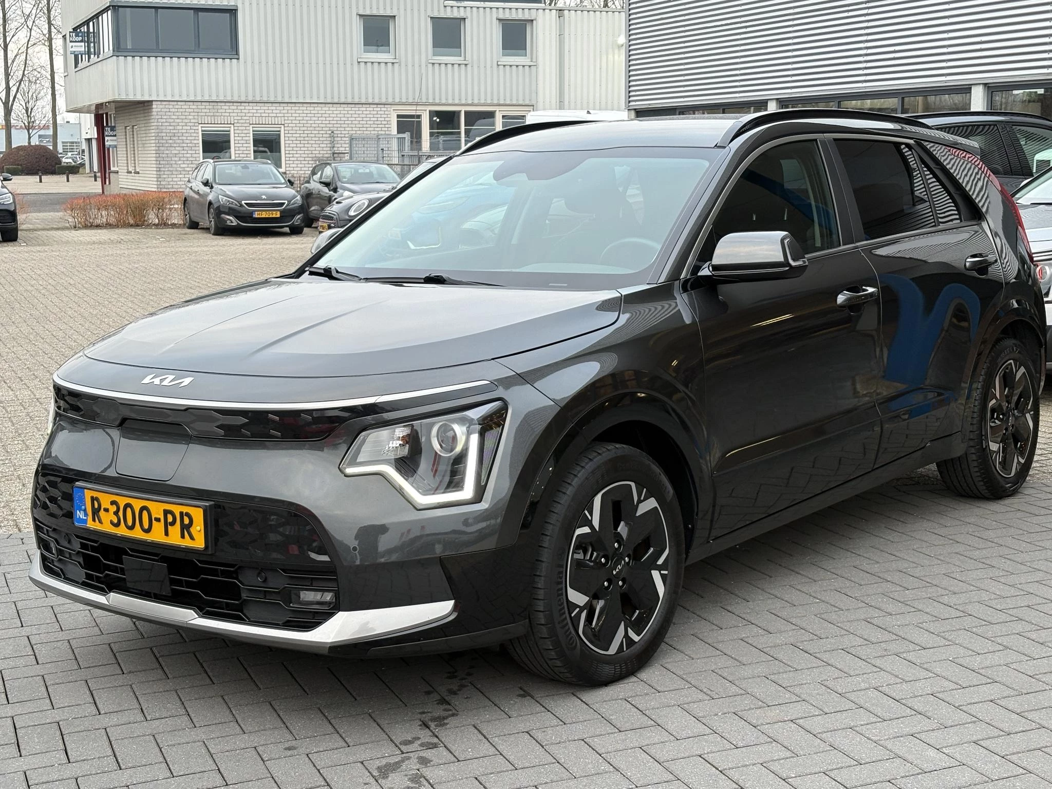Hoofdafbeelding Kia e-Niro