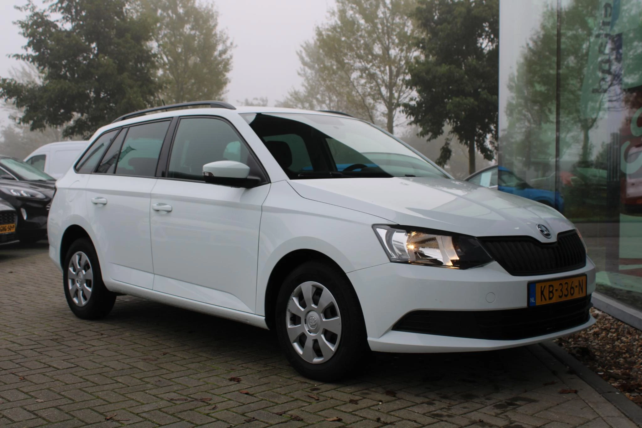 Hoofdafbeelding Škoda Fabia