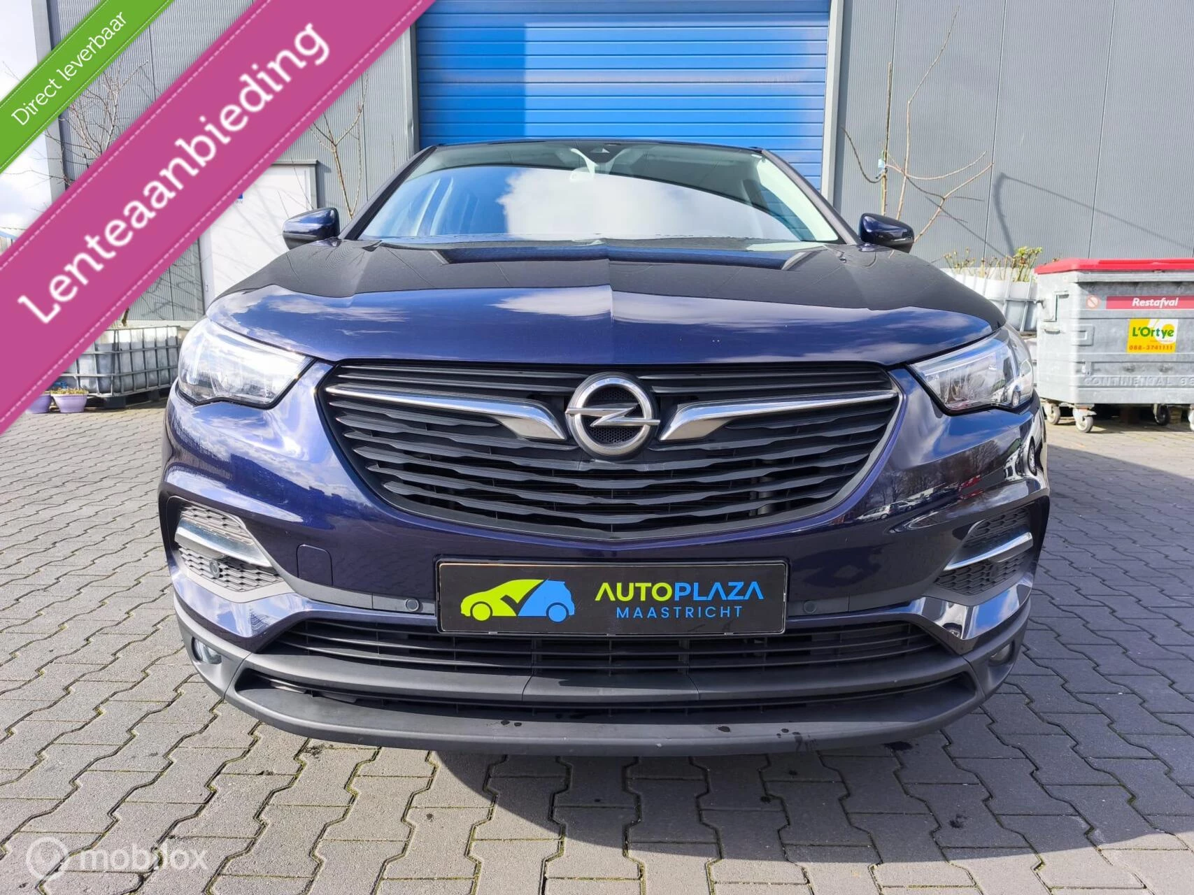 Hoofdafbeelding Opel Grandland X
