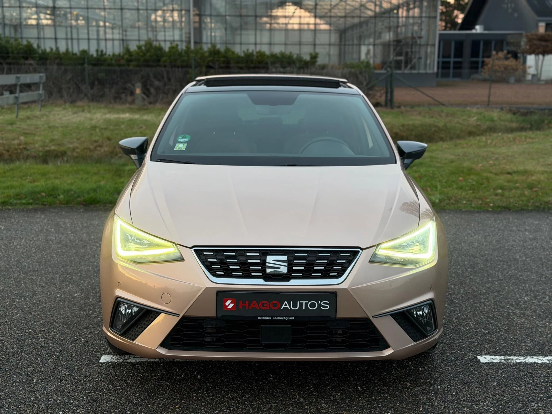 Hoofdafbeelding SEAT Ibiza