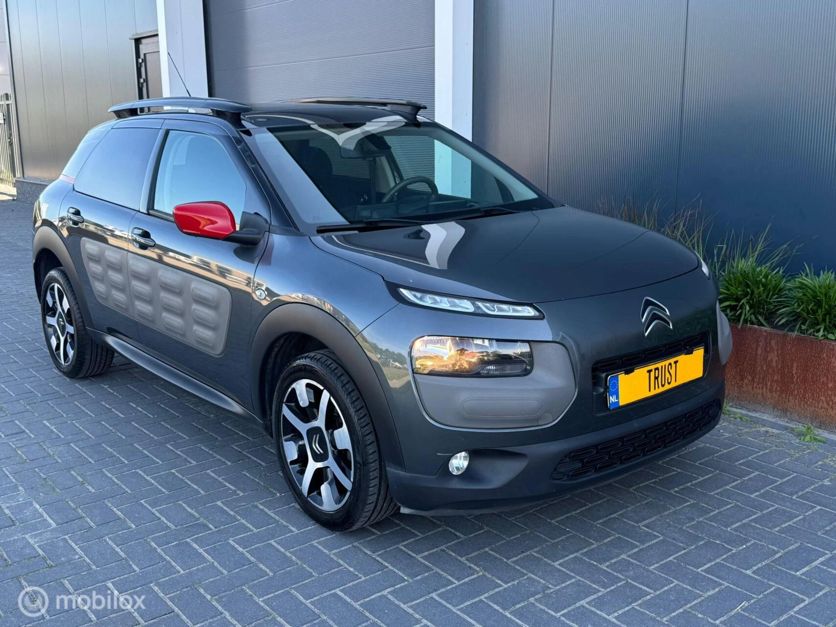 Hoofdafbeelding Citroën C4 Cactus
