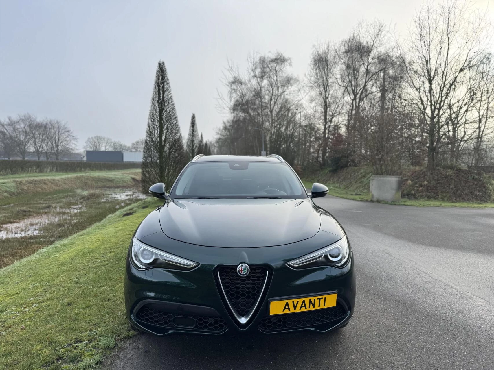 Hoofdafbeelding Alfa Romeo Stelvio
