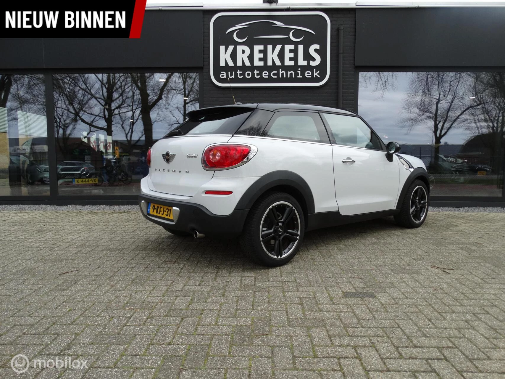 Hoofdafbeelding MINI Paceman