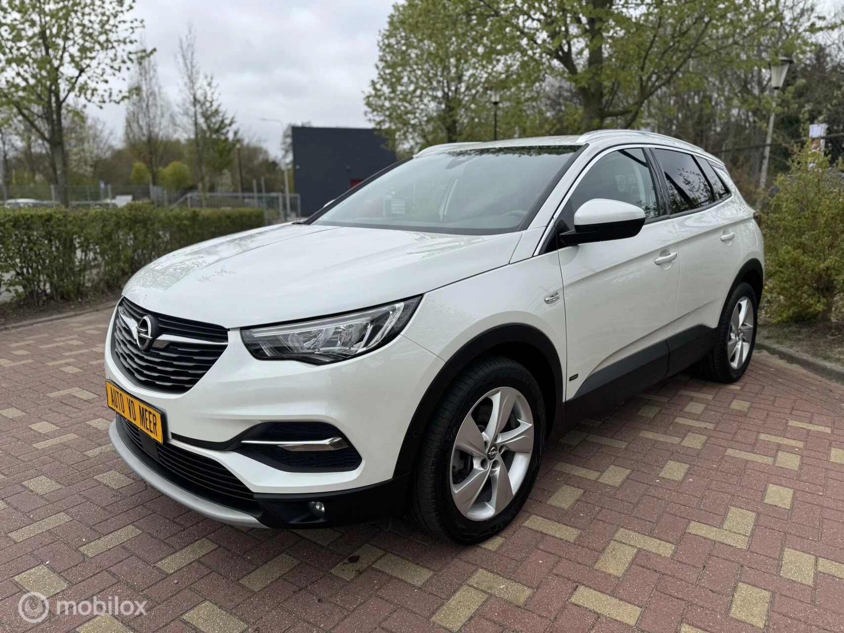 Hoofdafbeelding Opel Grandland X