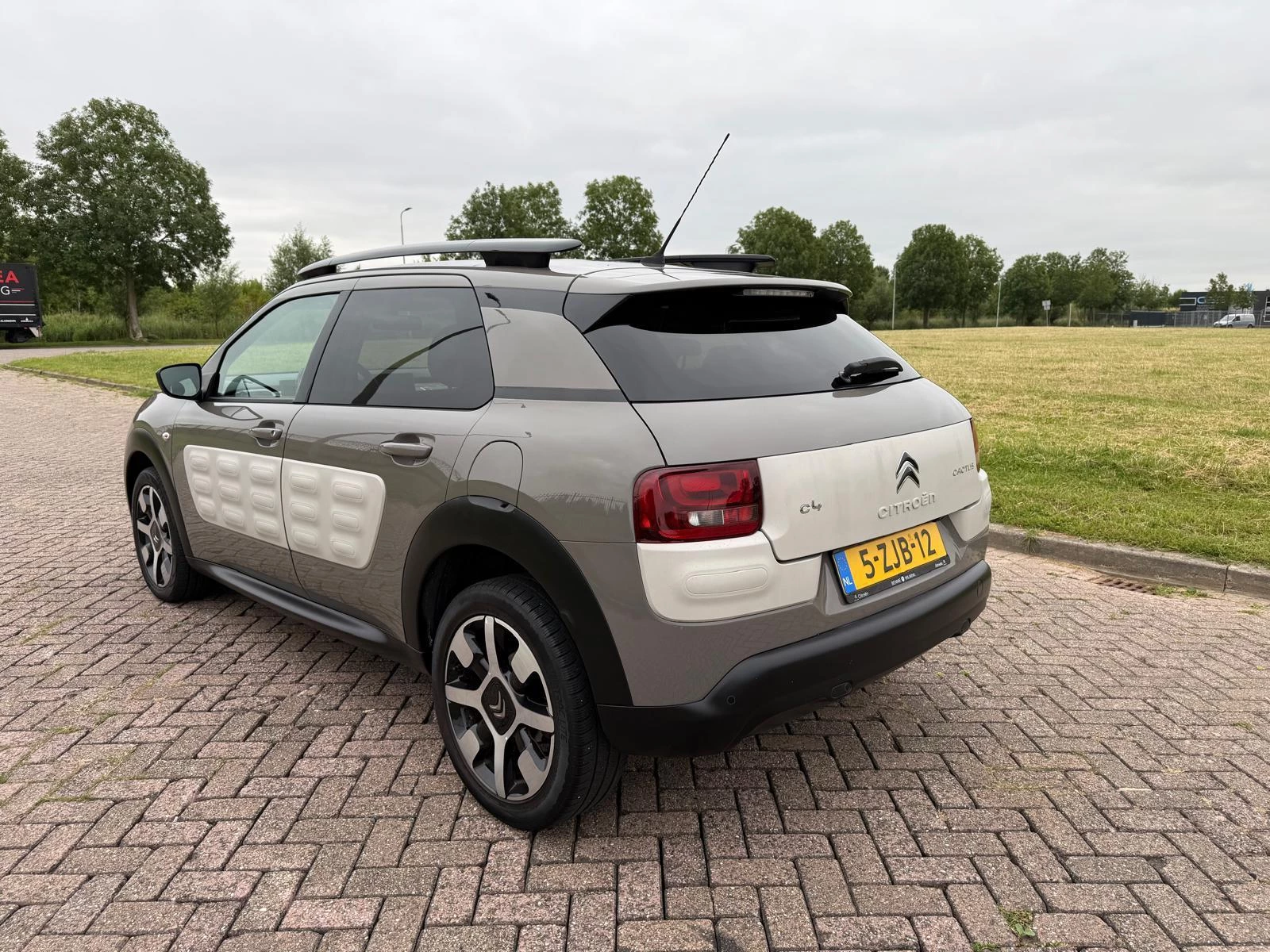 Hoofdafbeelding Citroën C4 Cactus