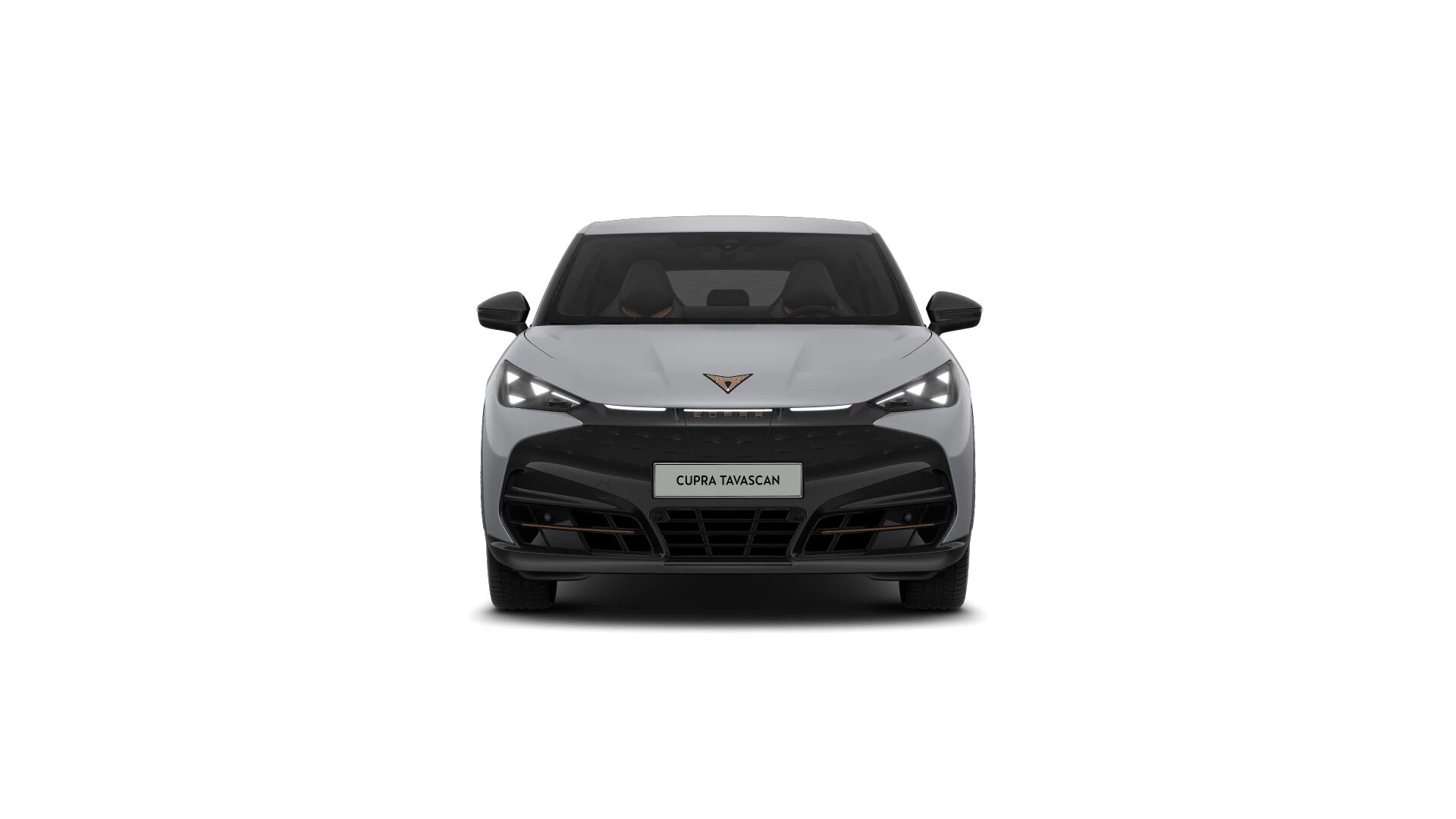 Hoofdafbeelding CUPRA Tavascan