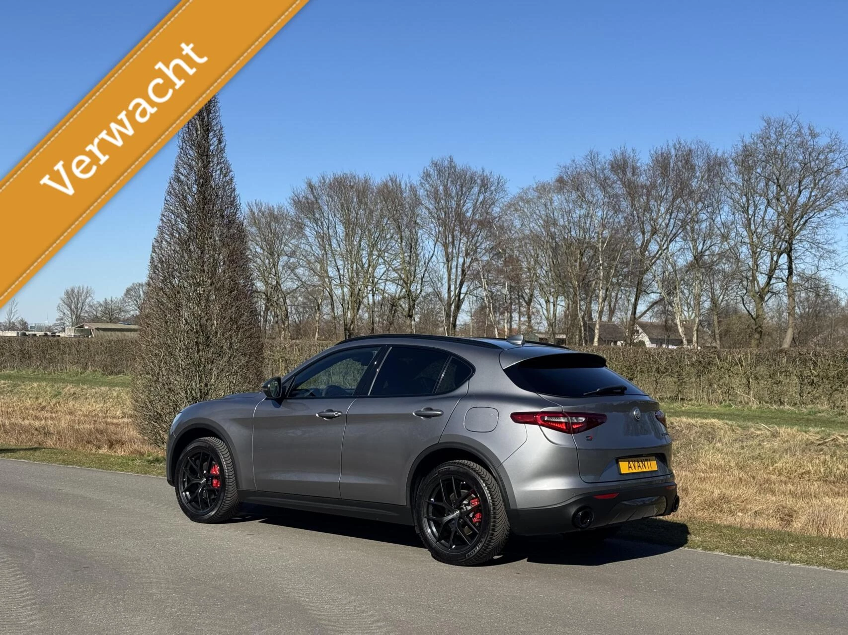 Hoofdafbeelding Alfa Romeo Stelvio