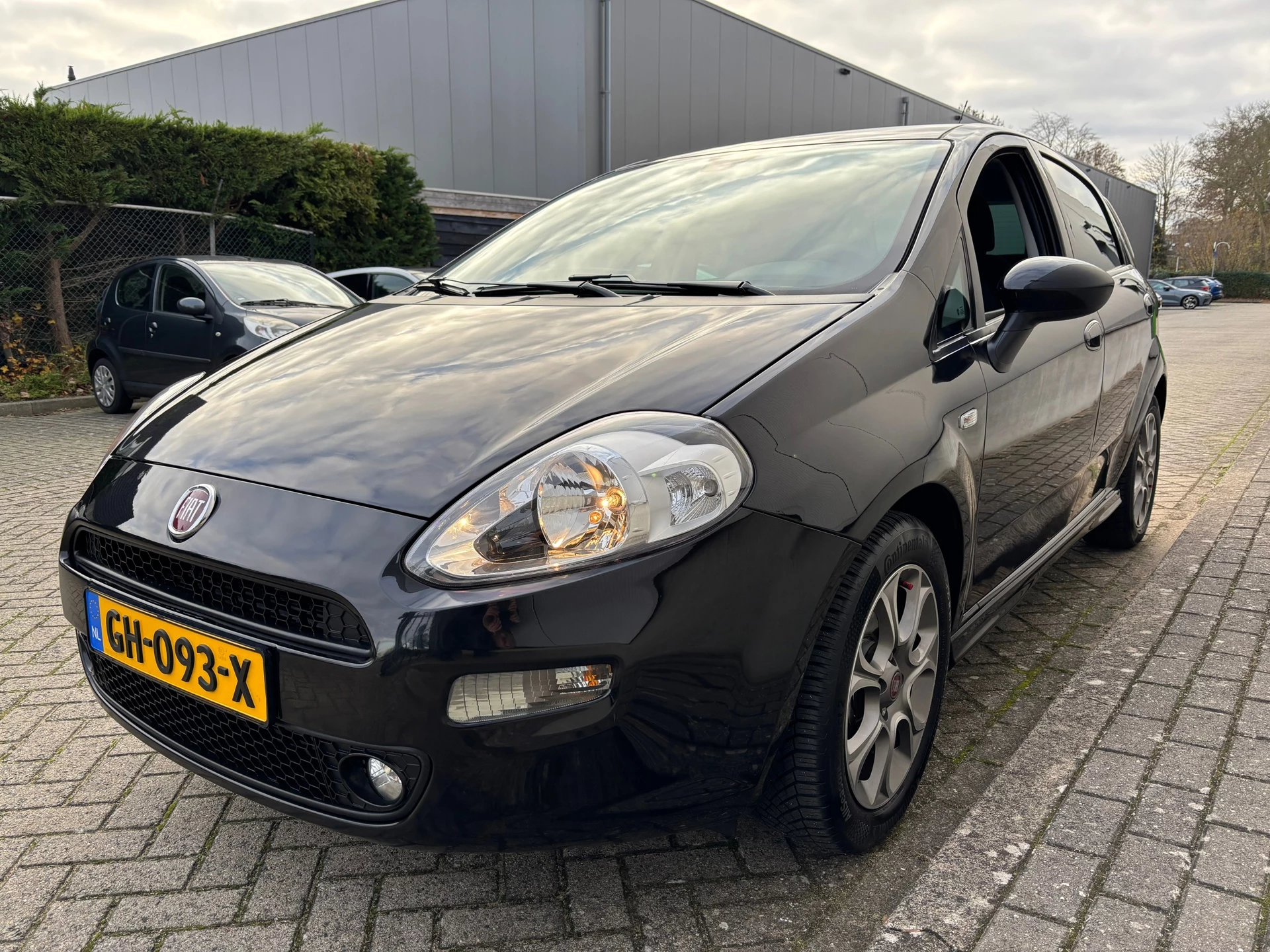 Hoofdafbeelding Fiat Punto