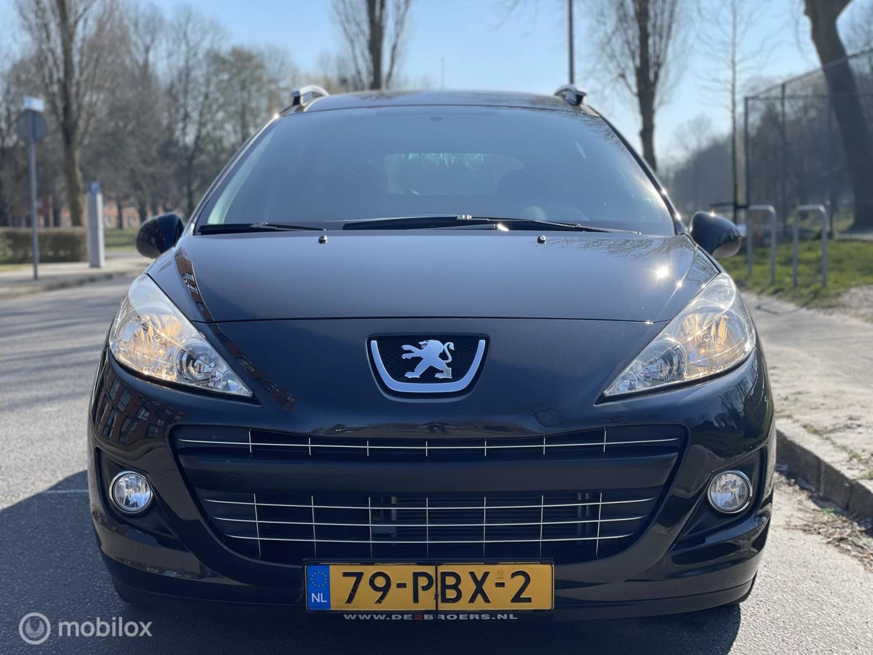 Hoofdafbeelding Peugeot 207