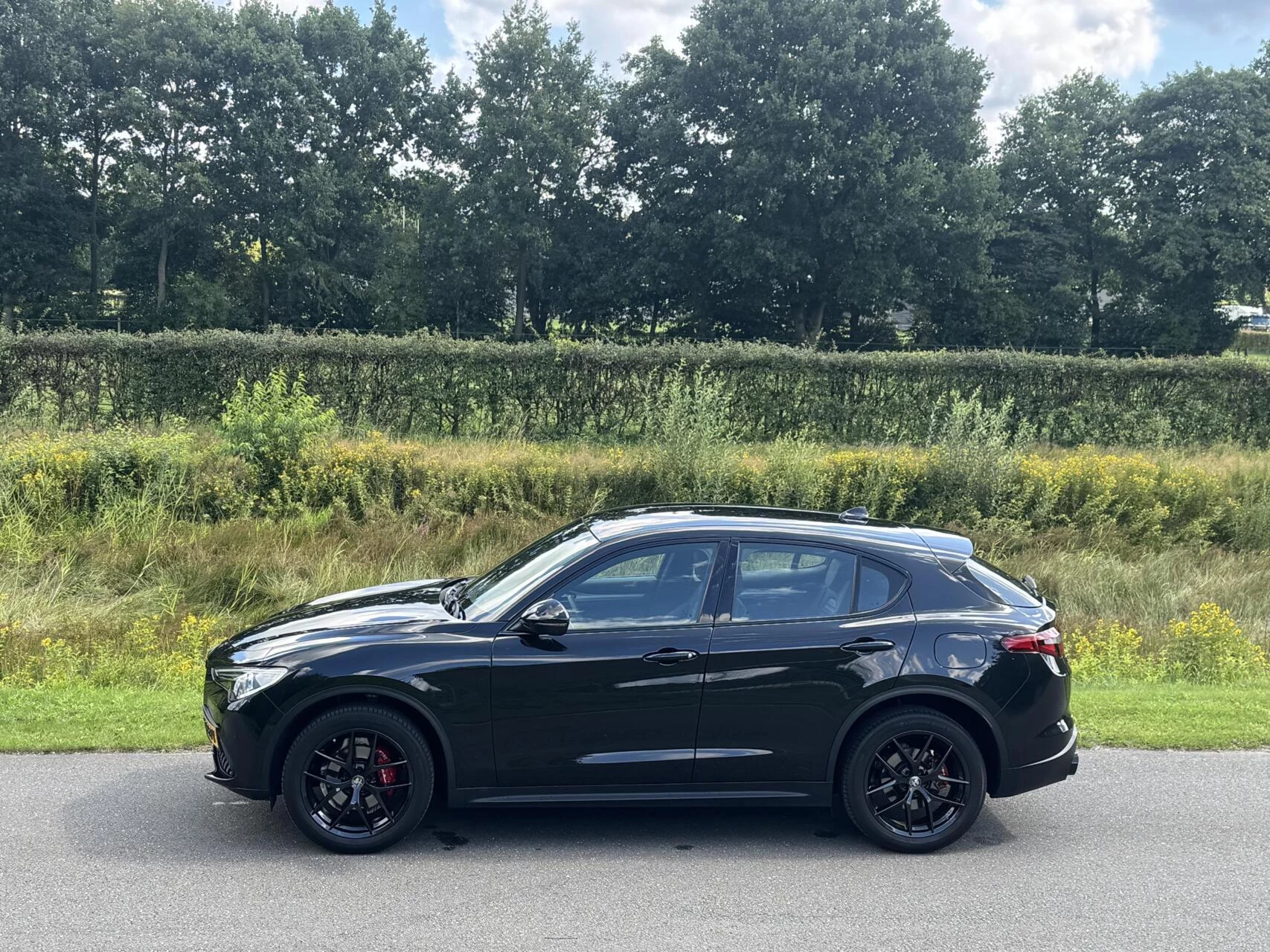 Hoofdafbeelding Alfa Romeo Stelvio