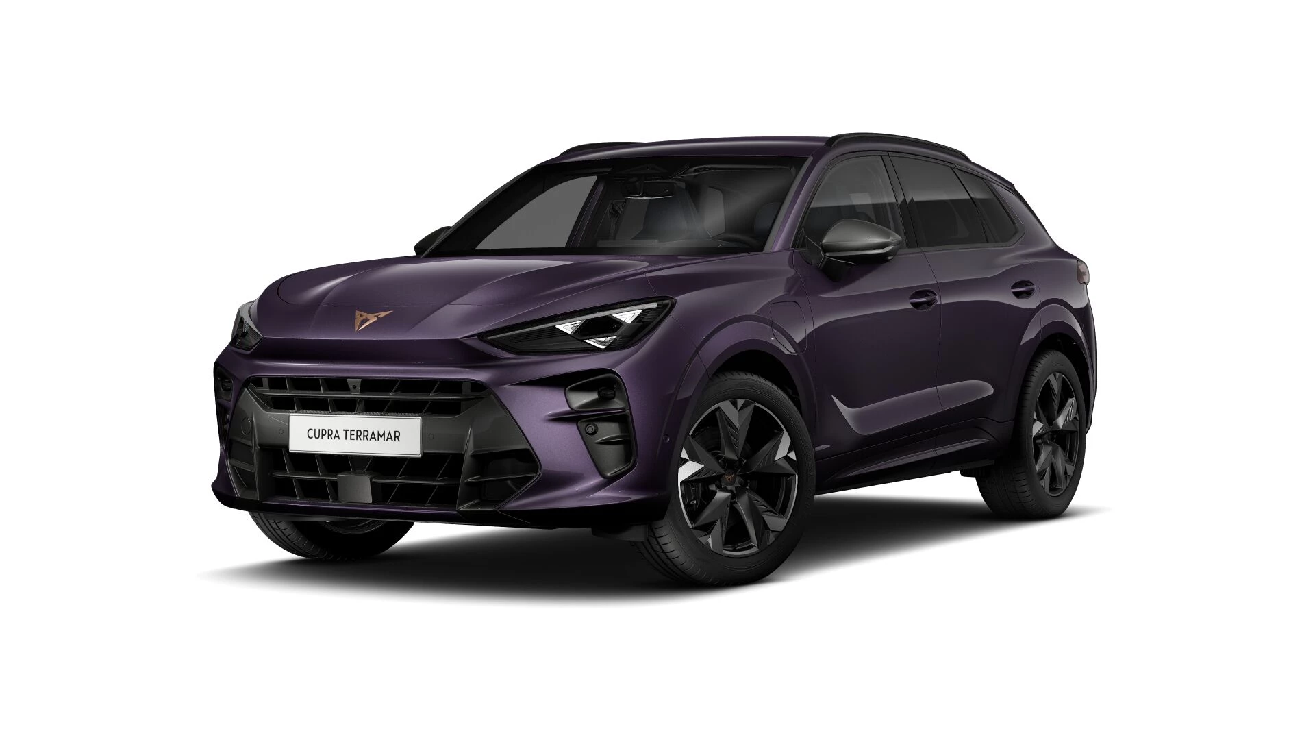 Hoofdafbeelding CUPRA Terramar