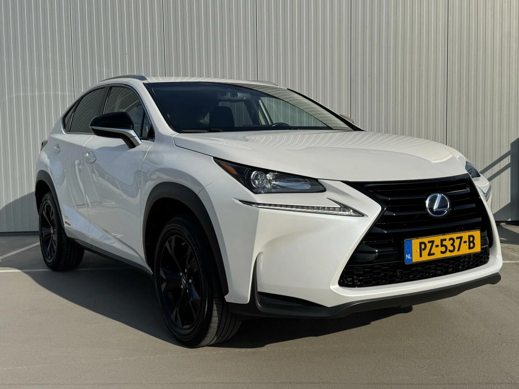 Hoofdafbeelding Lexus NX