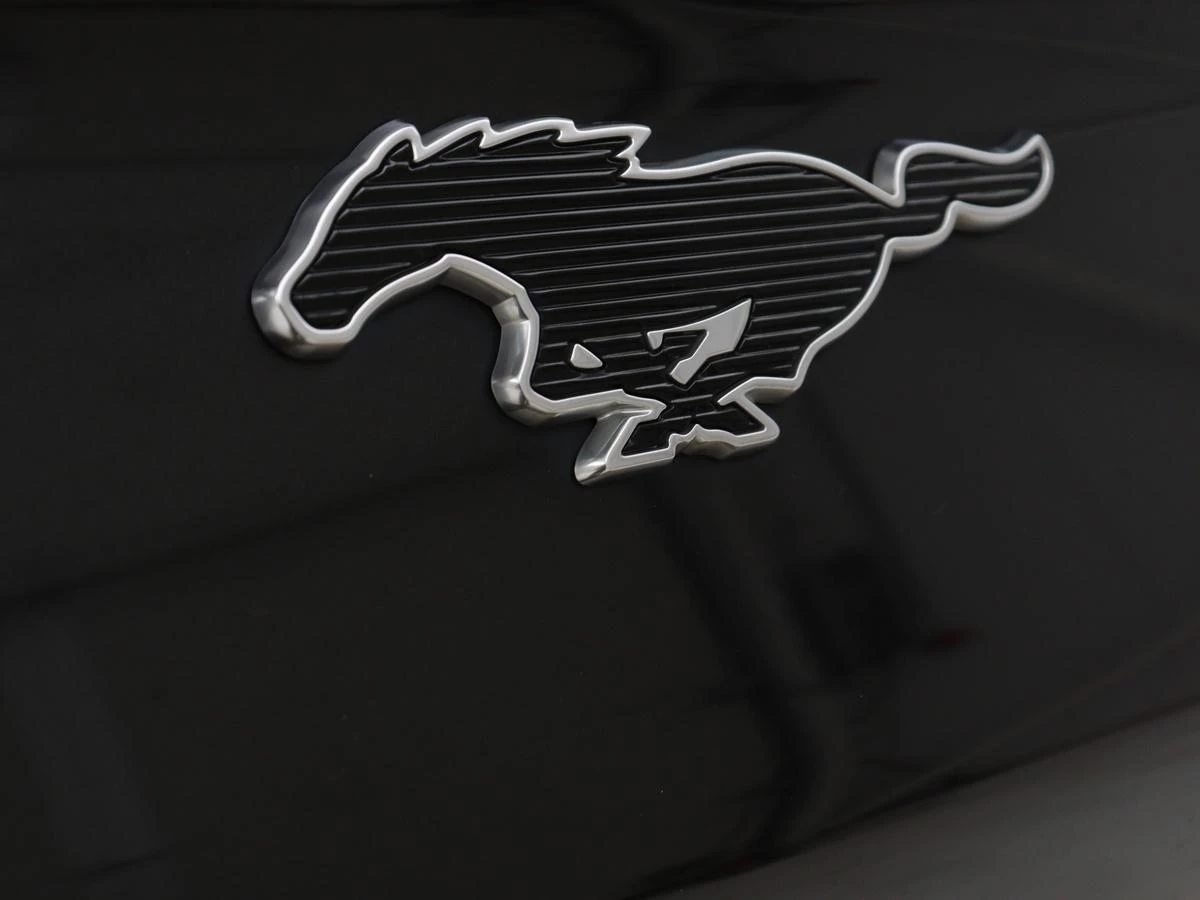 Hoofdafbeelding Ford Mustang Mach-E