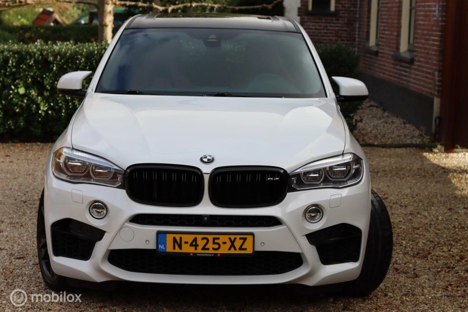 Hoofdafbeelding BMW X5