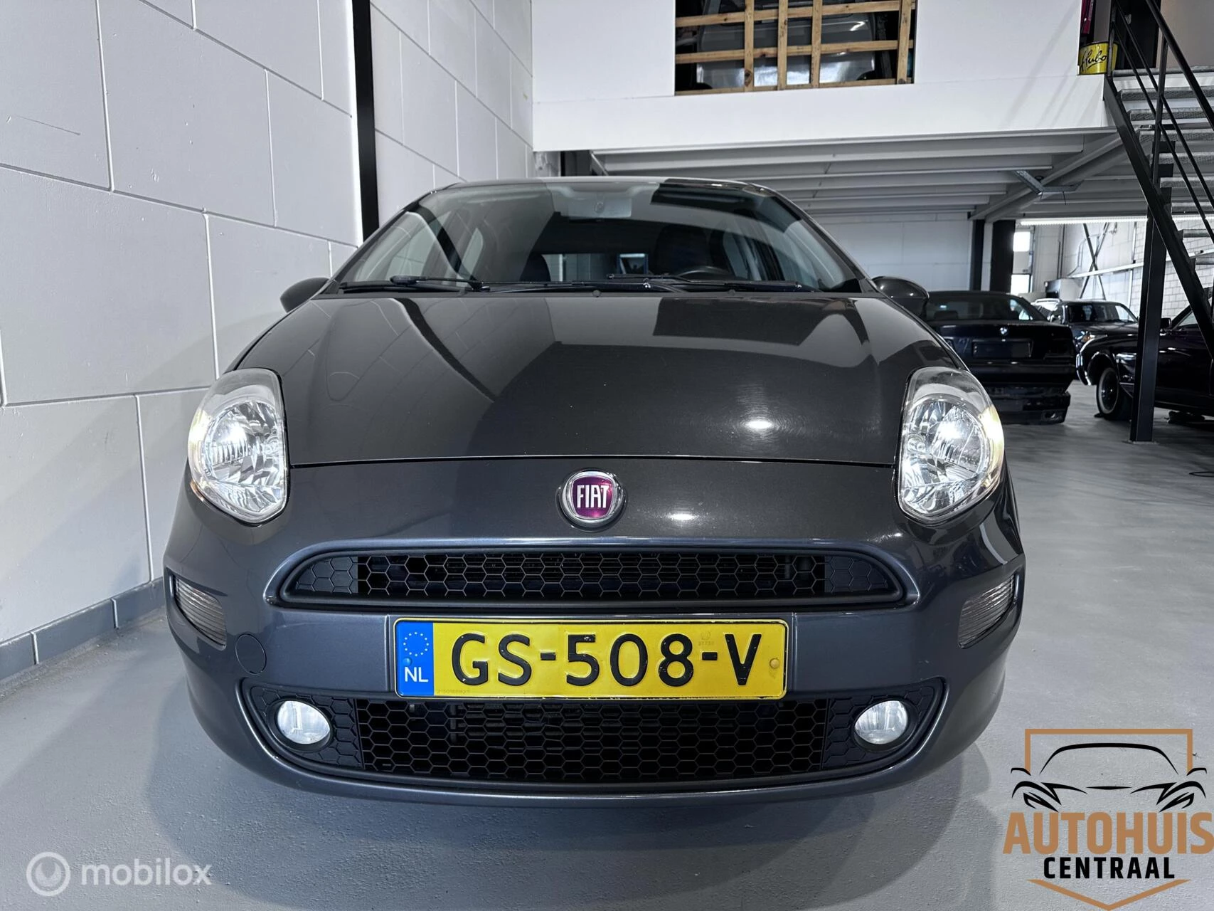Hoofdafbeelding Fiat Punto