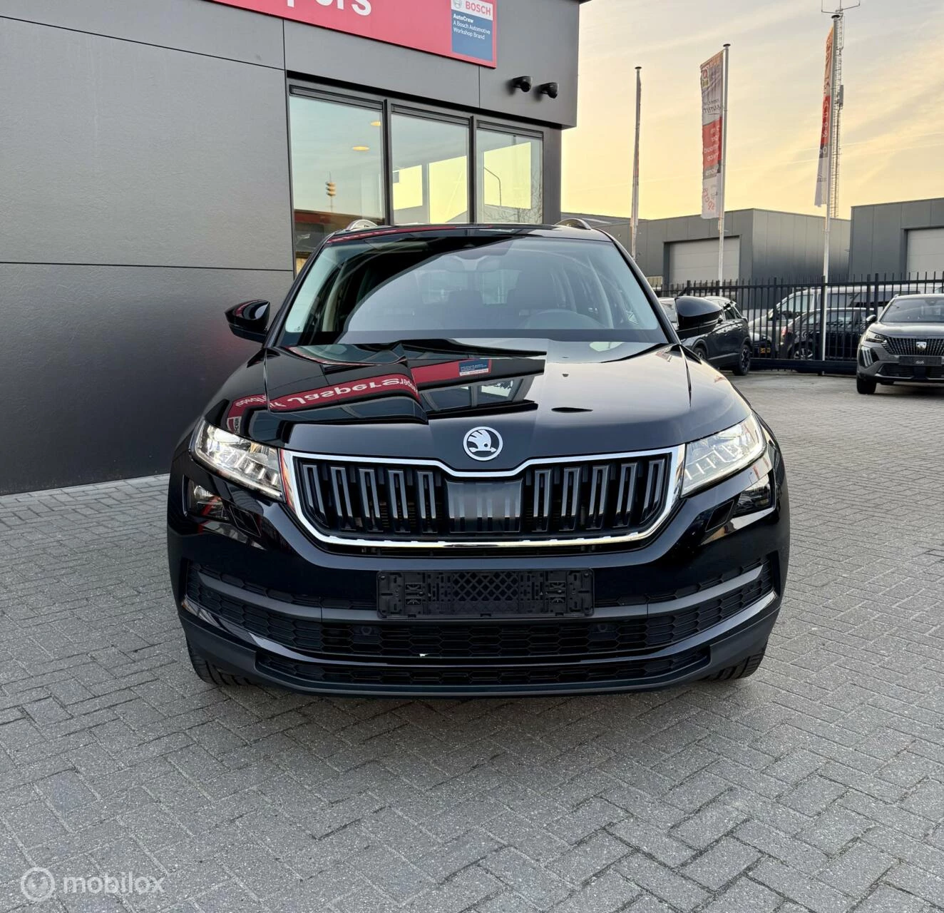 Hoofdafbeelding Škoda Kodiaq